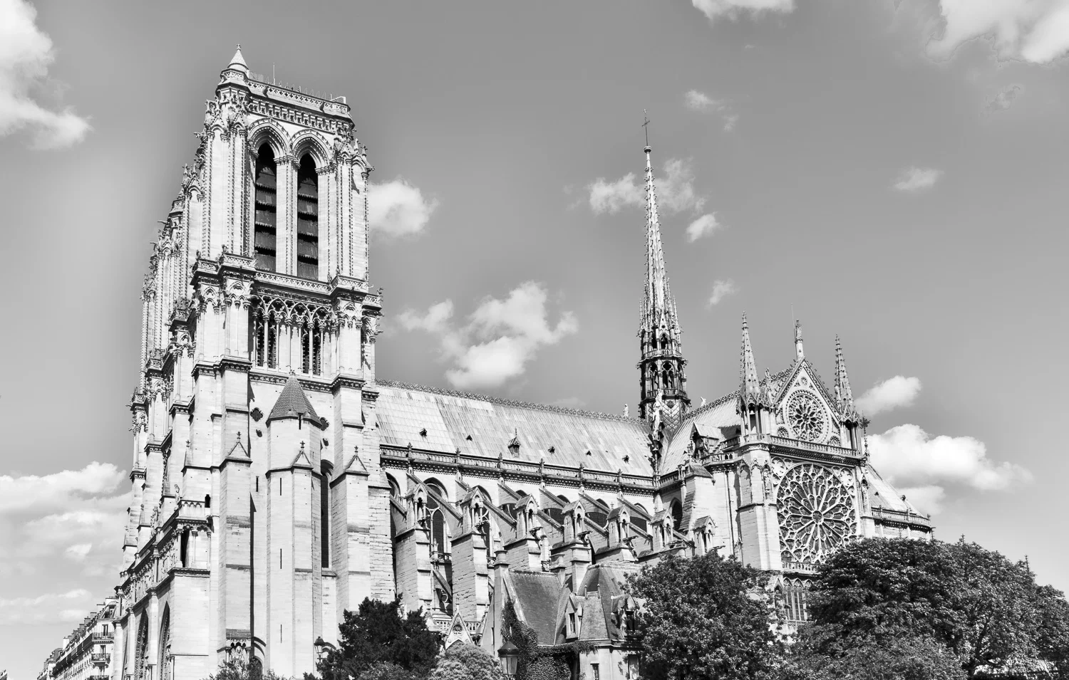 Cathédrale Notre-Dame de Paris