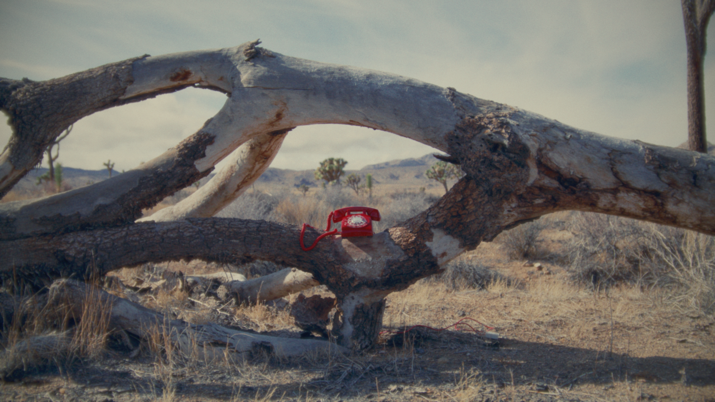 Screenshot 2025-12-04 at 1.01.10 PM.png