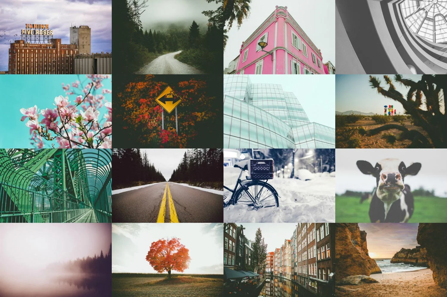 PicMonkey Collage.JPG