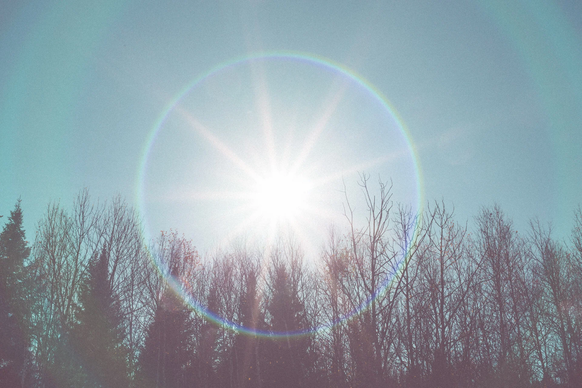 Photos Voûte-24.JPG