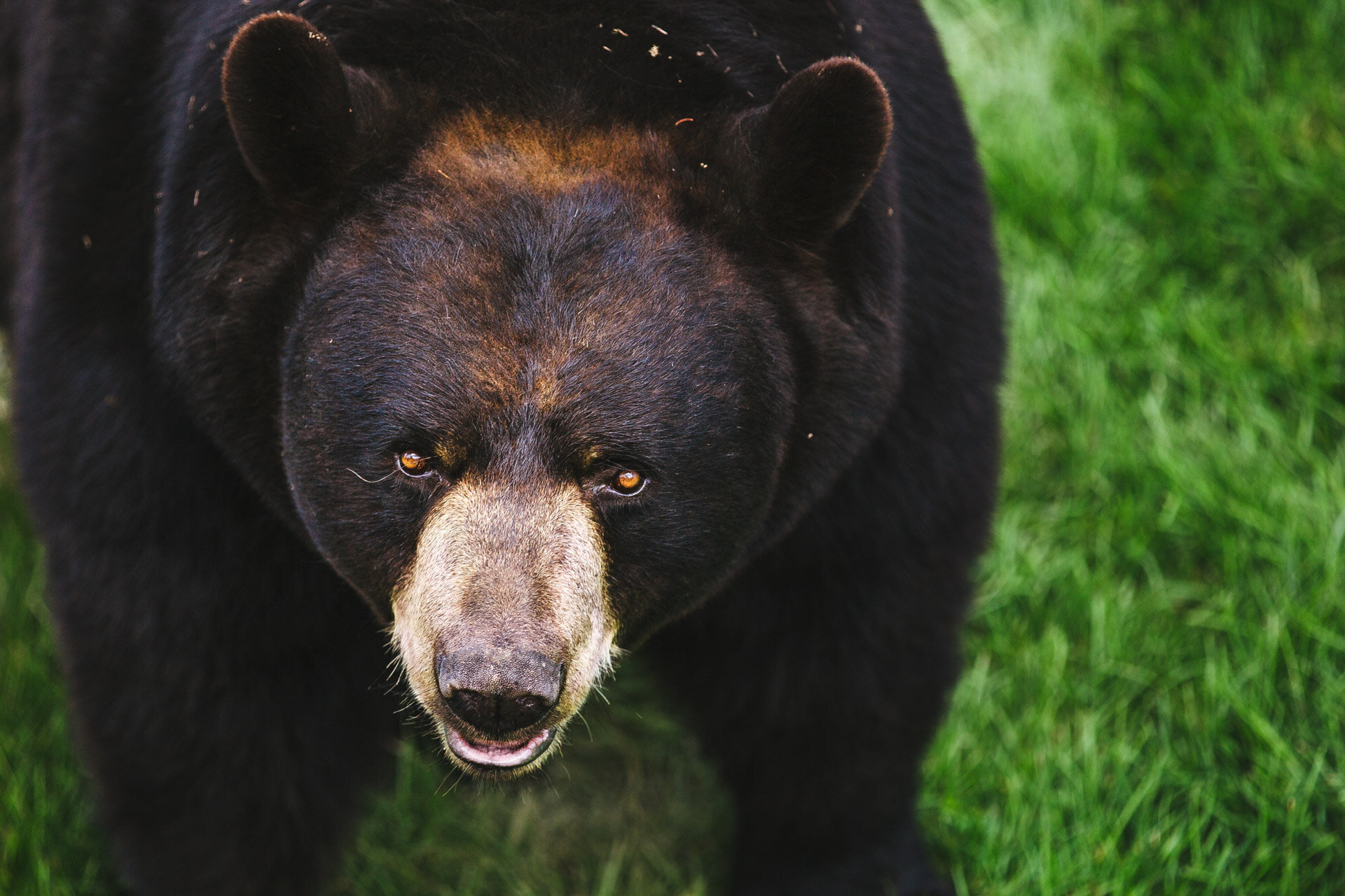 Photos Voûte-49.JPG