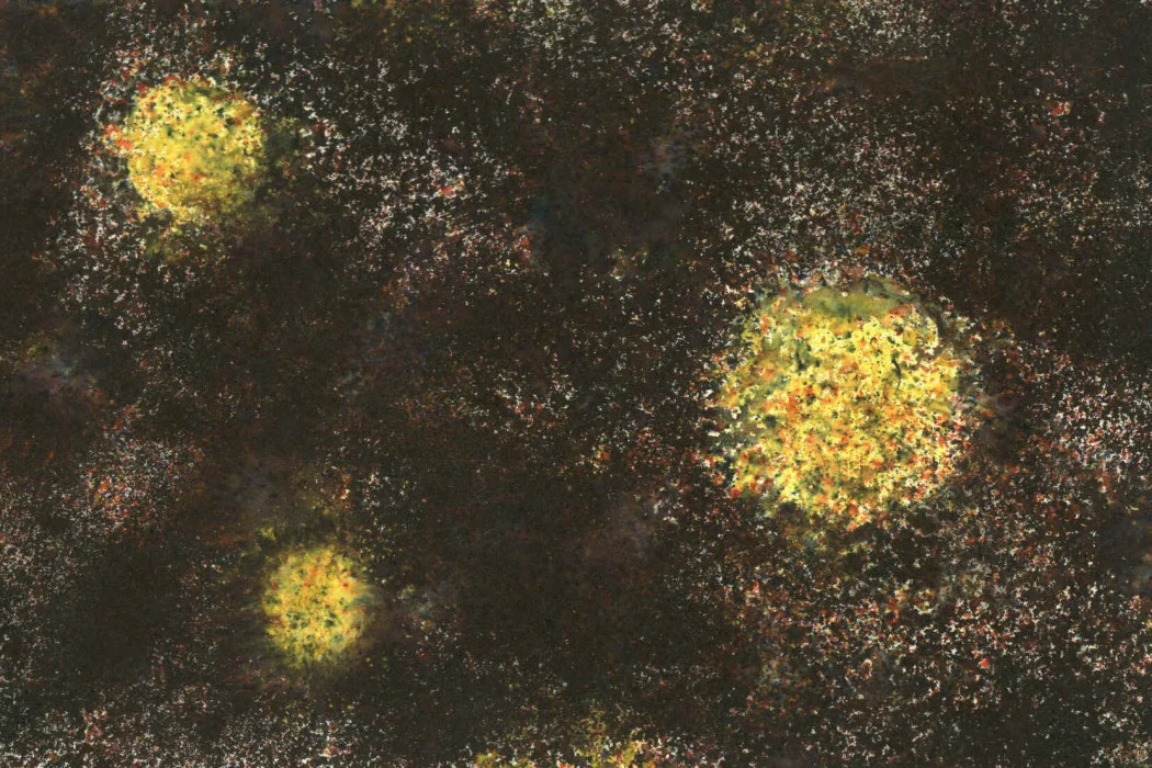 I Swept the Raucous Stars Out of the Sky