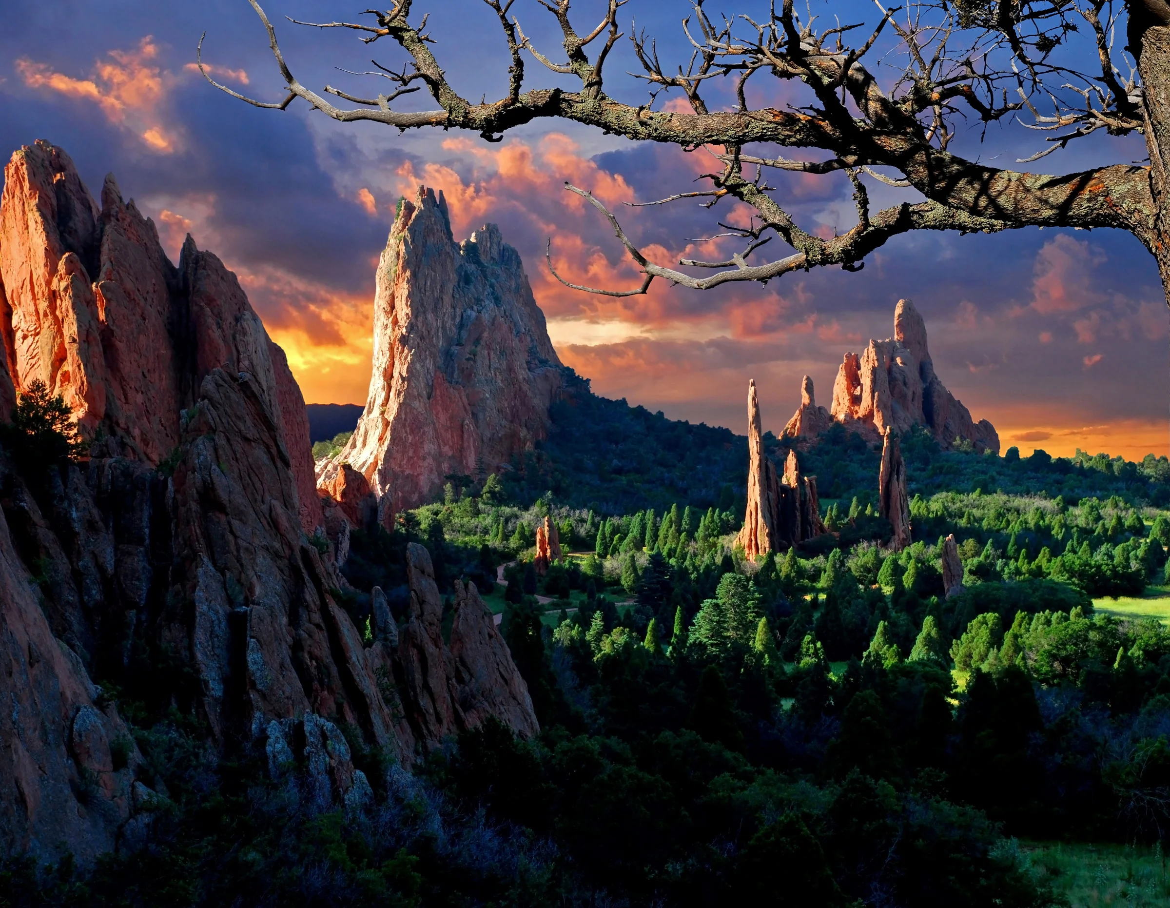 iStock-146877409.jpg