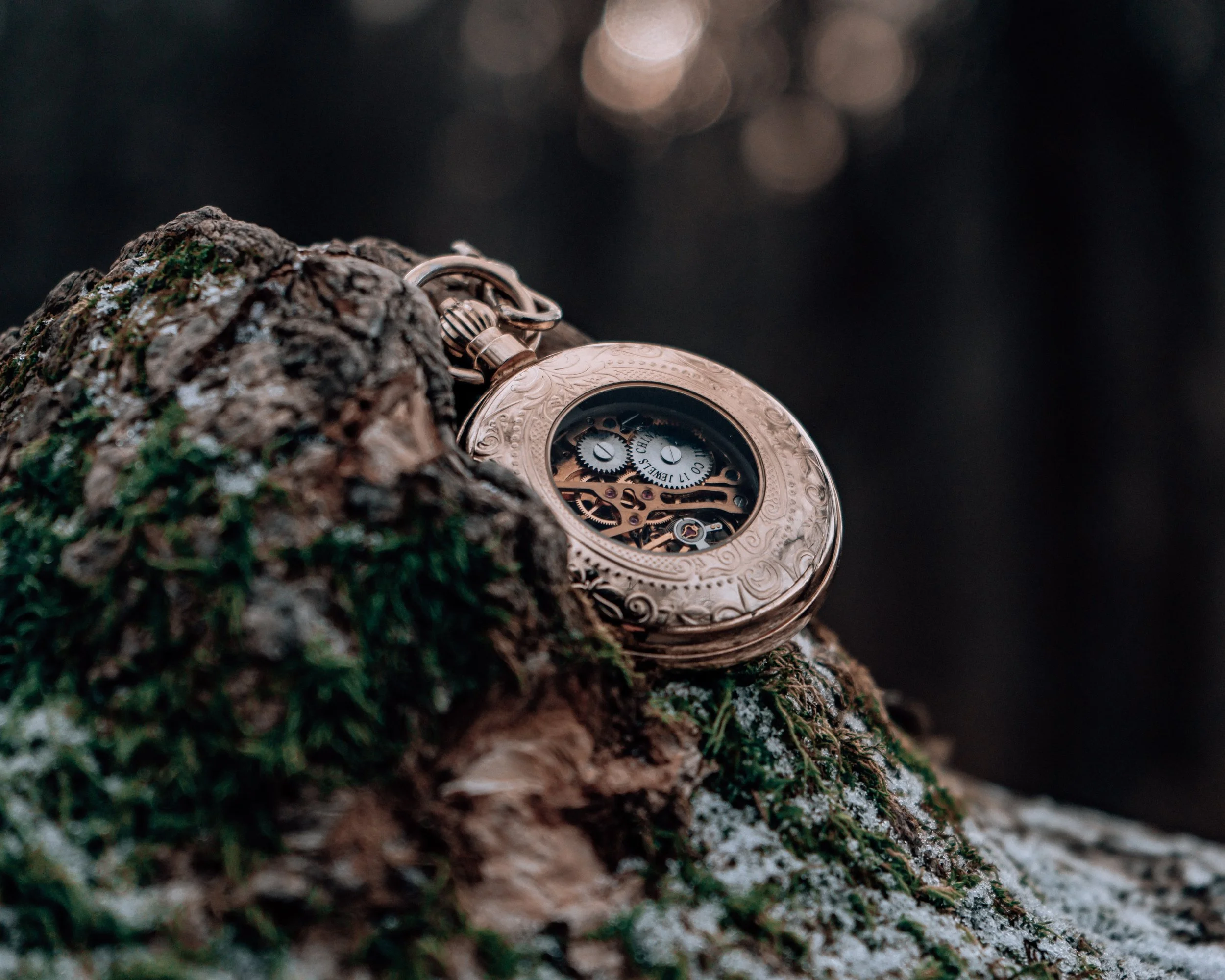 Finding Meaning in Time