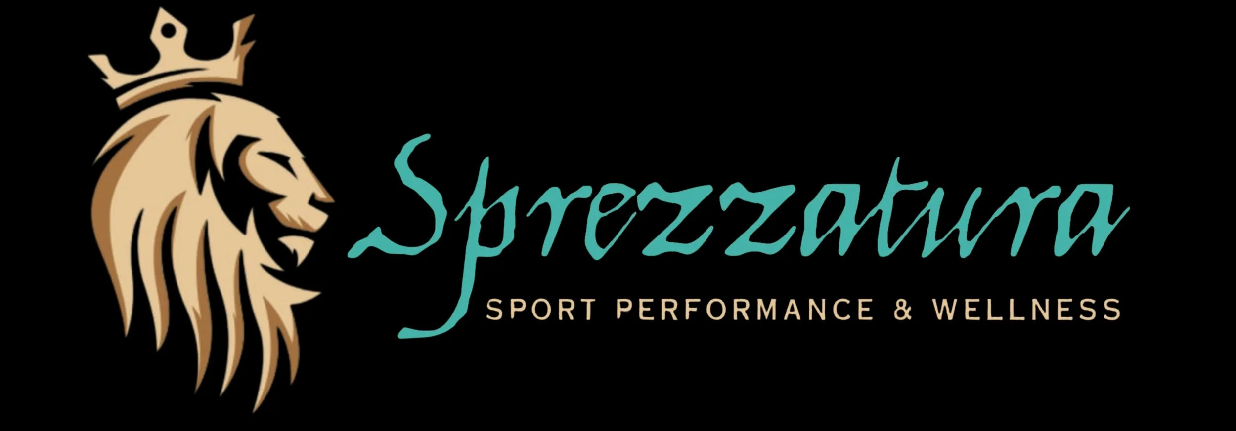 Sprezzatura HEMA Battle Born Sponsor