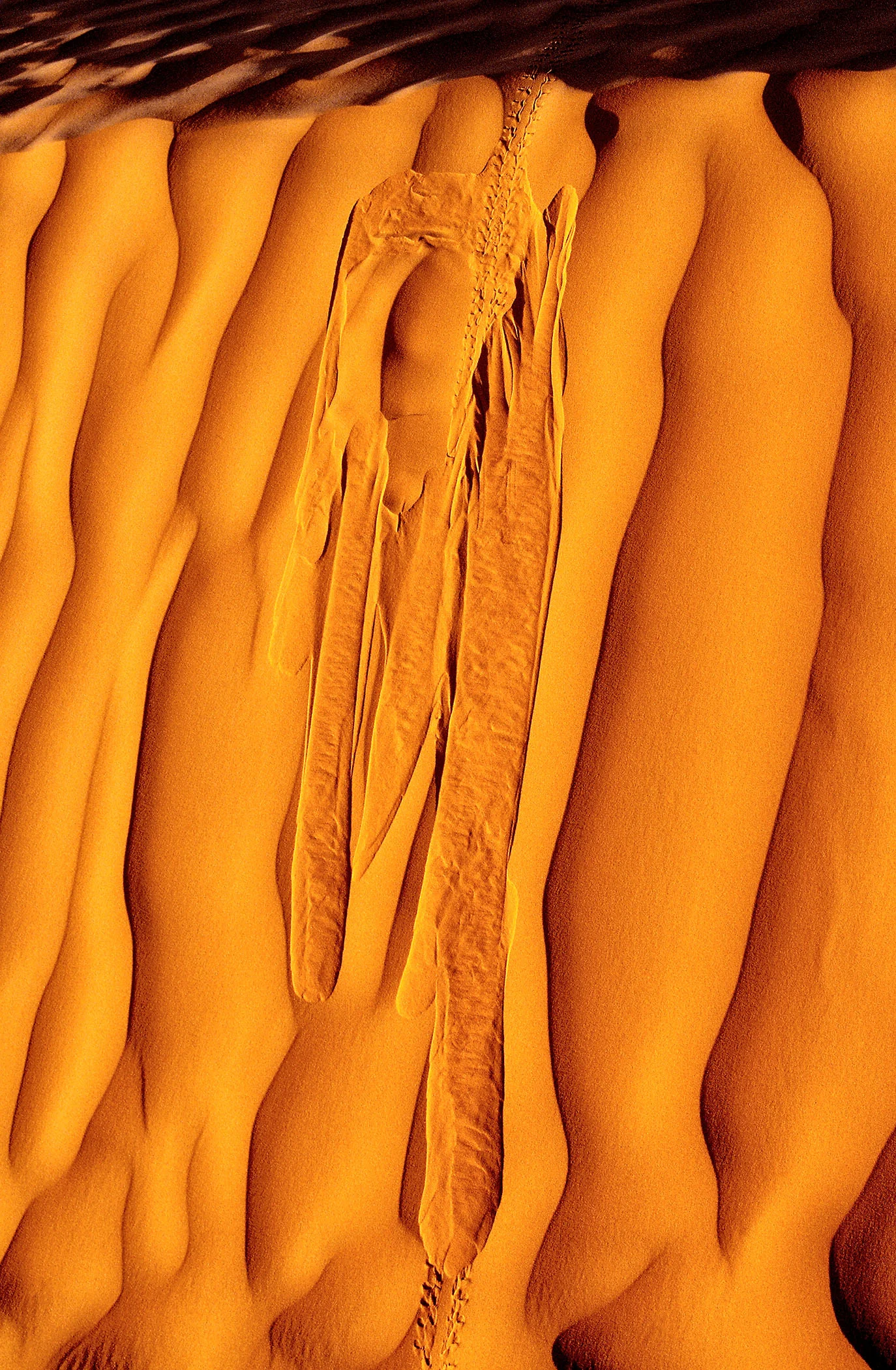 LAND_013.jpg
