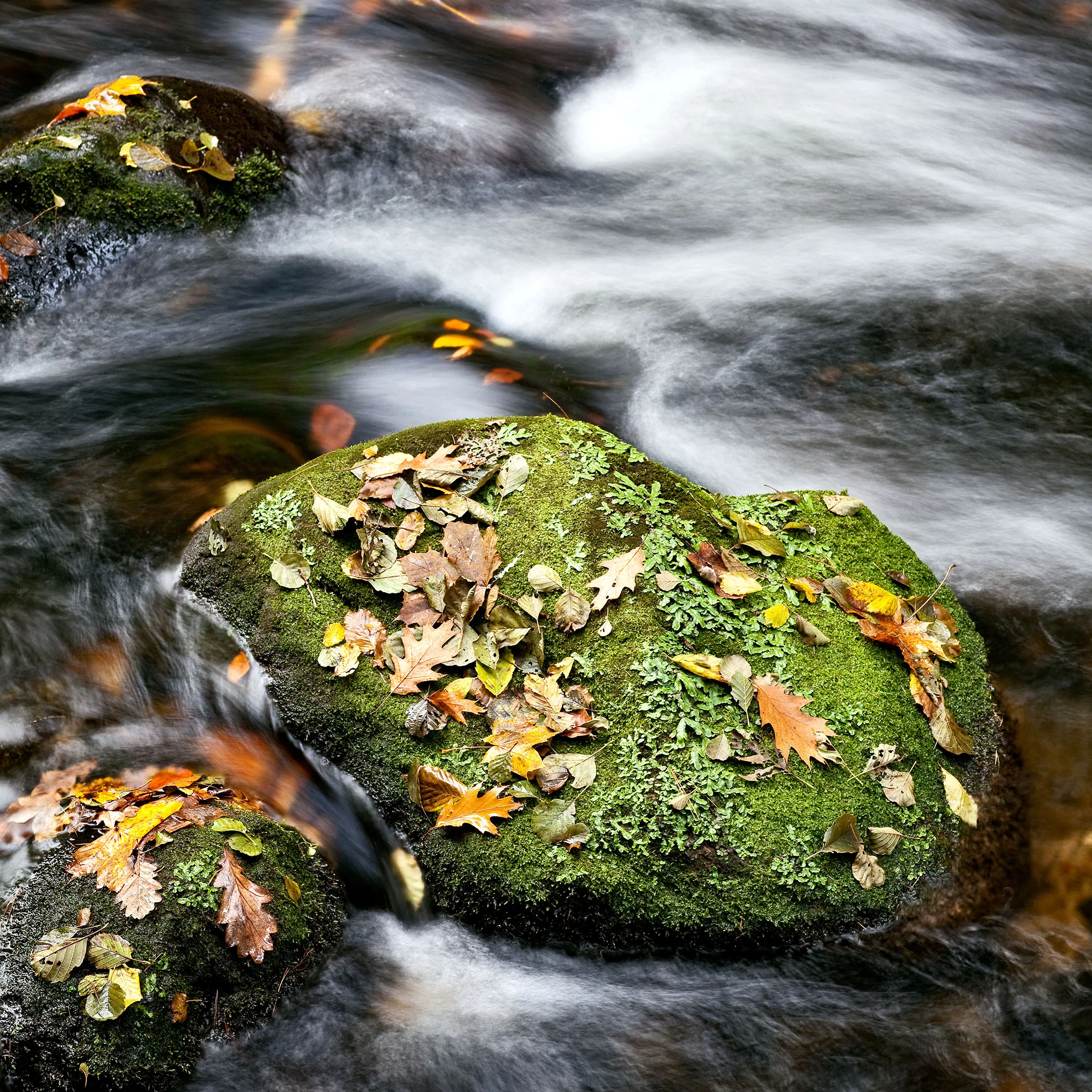 LAND_017.jpg