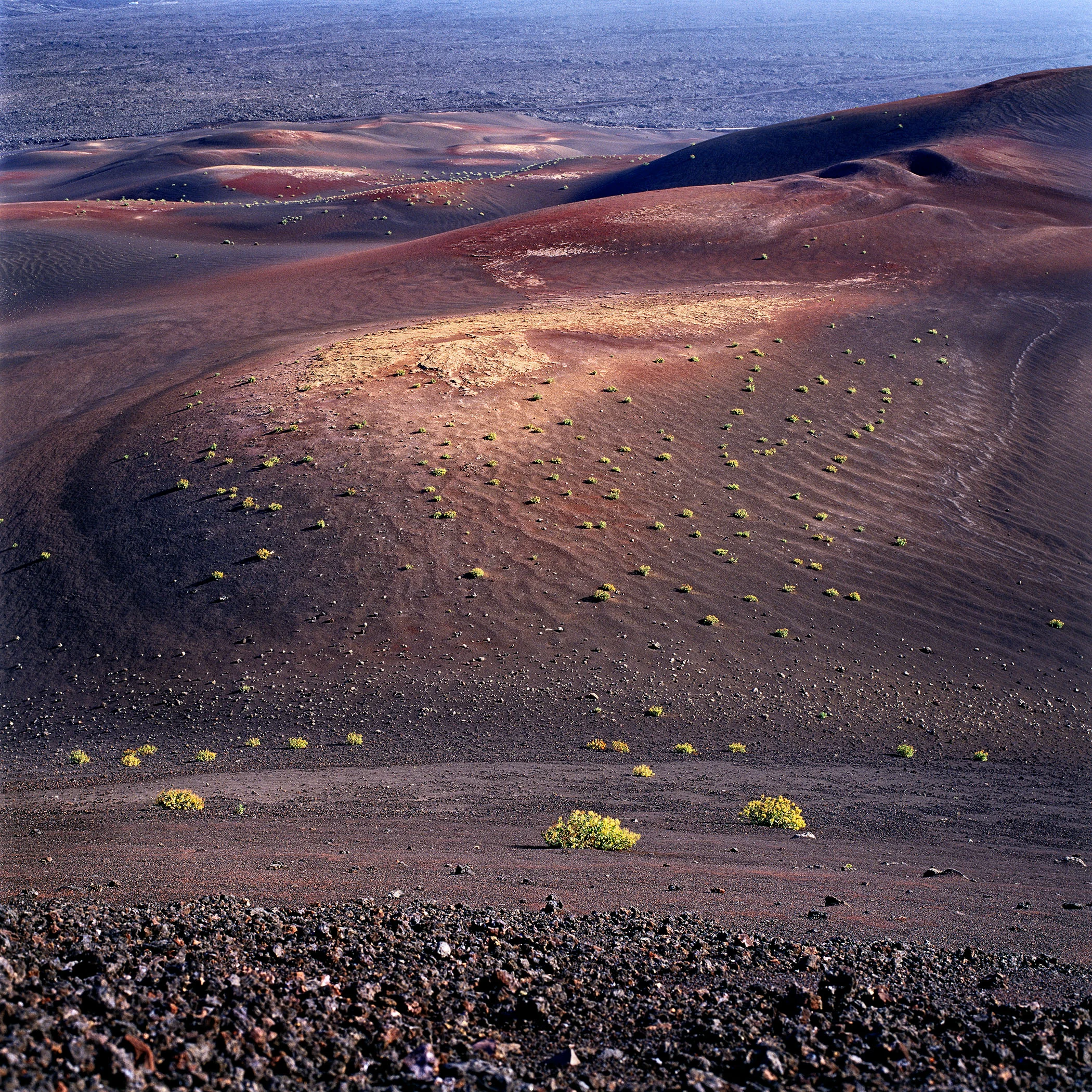 LAND_018.jpg