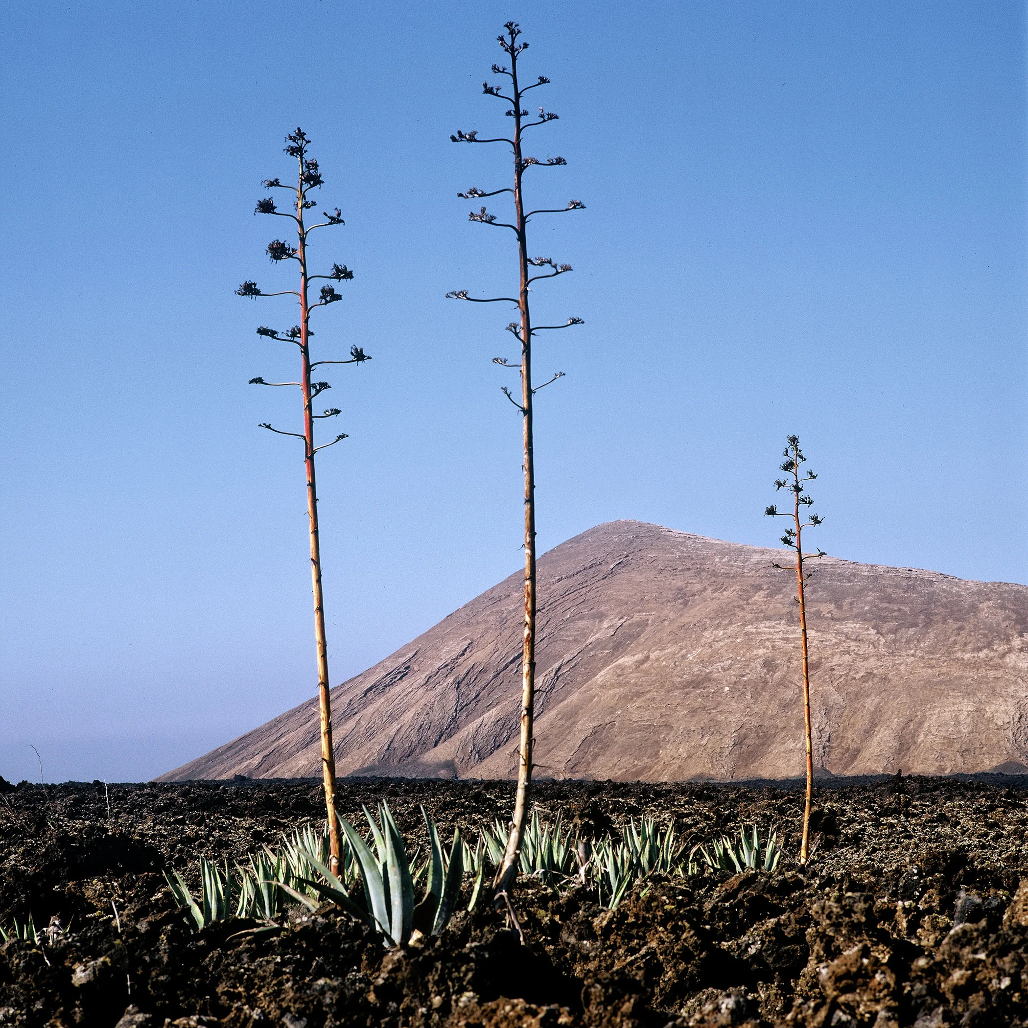LAND_046.jpg