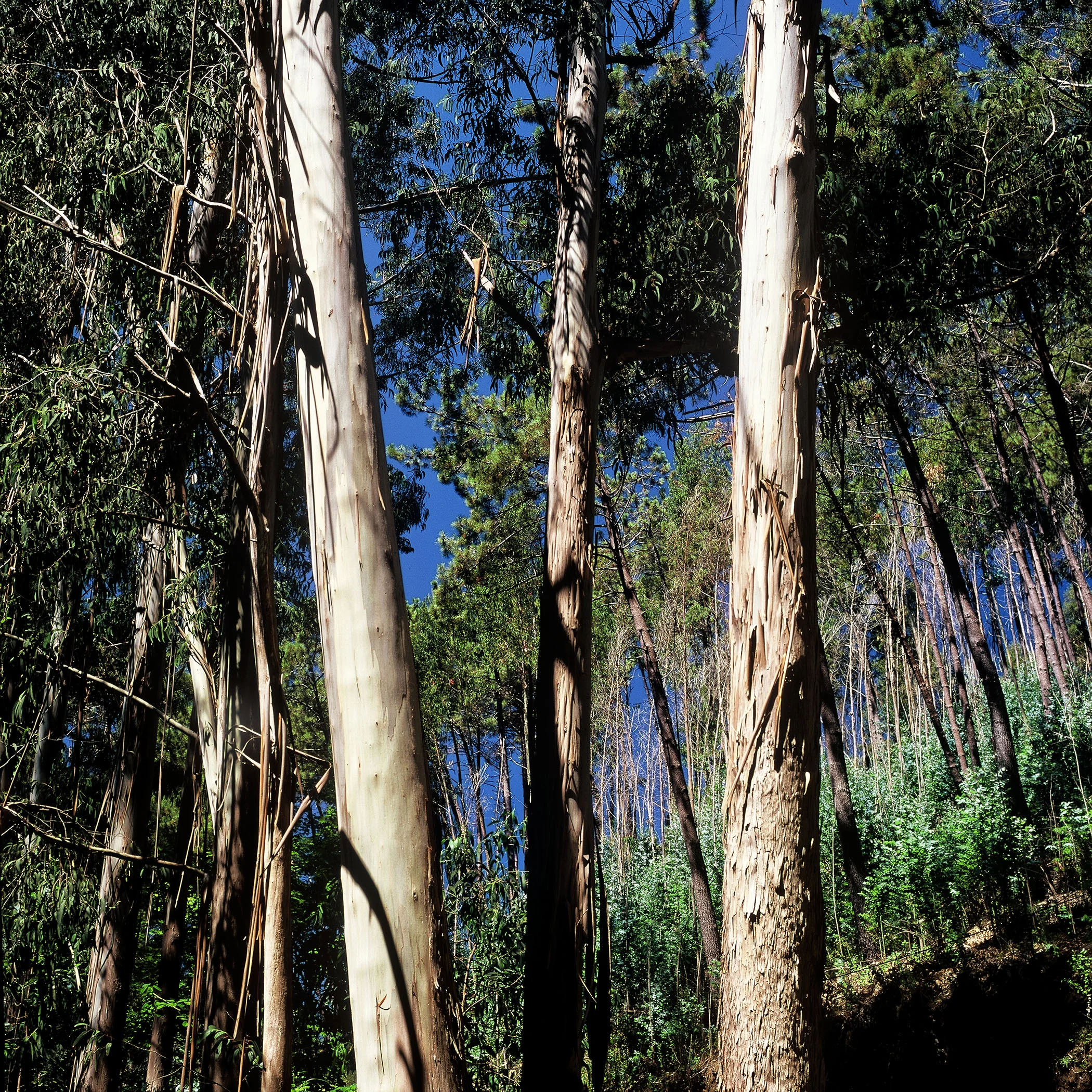 LAND_052.jpg