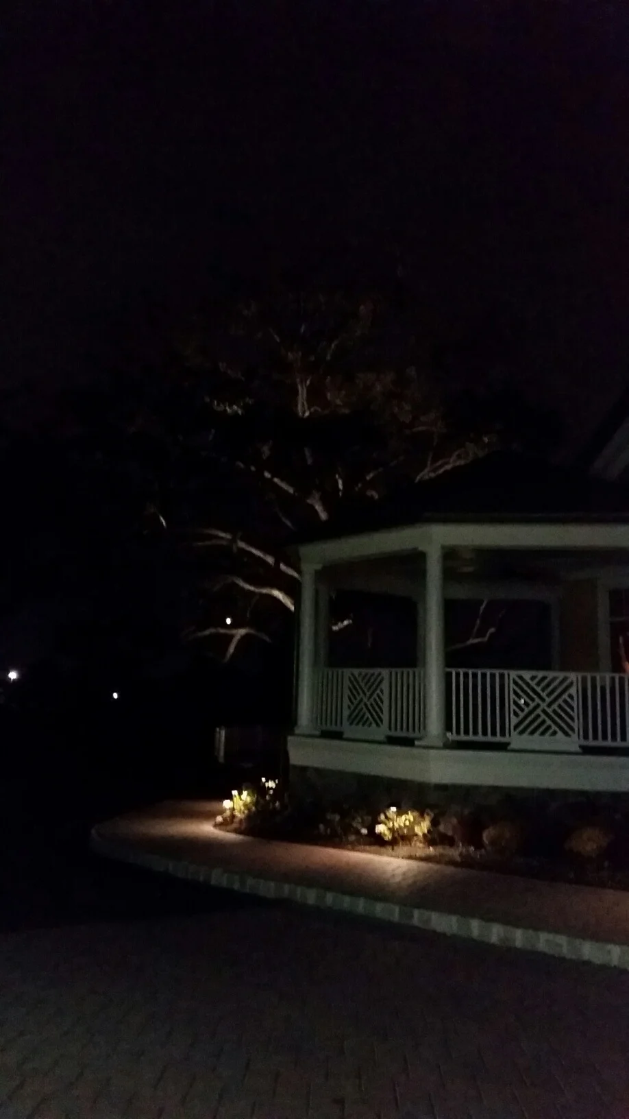 Patio Oak and Path Lighting