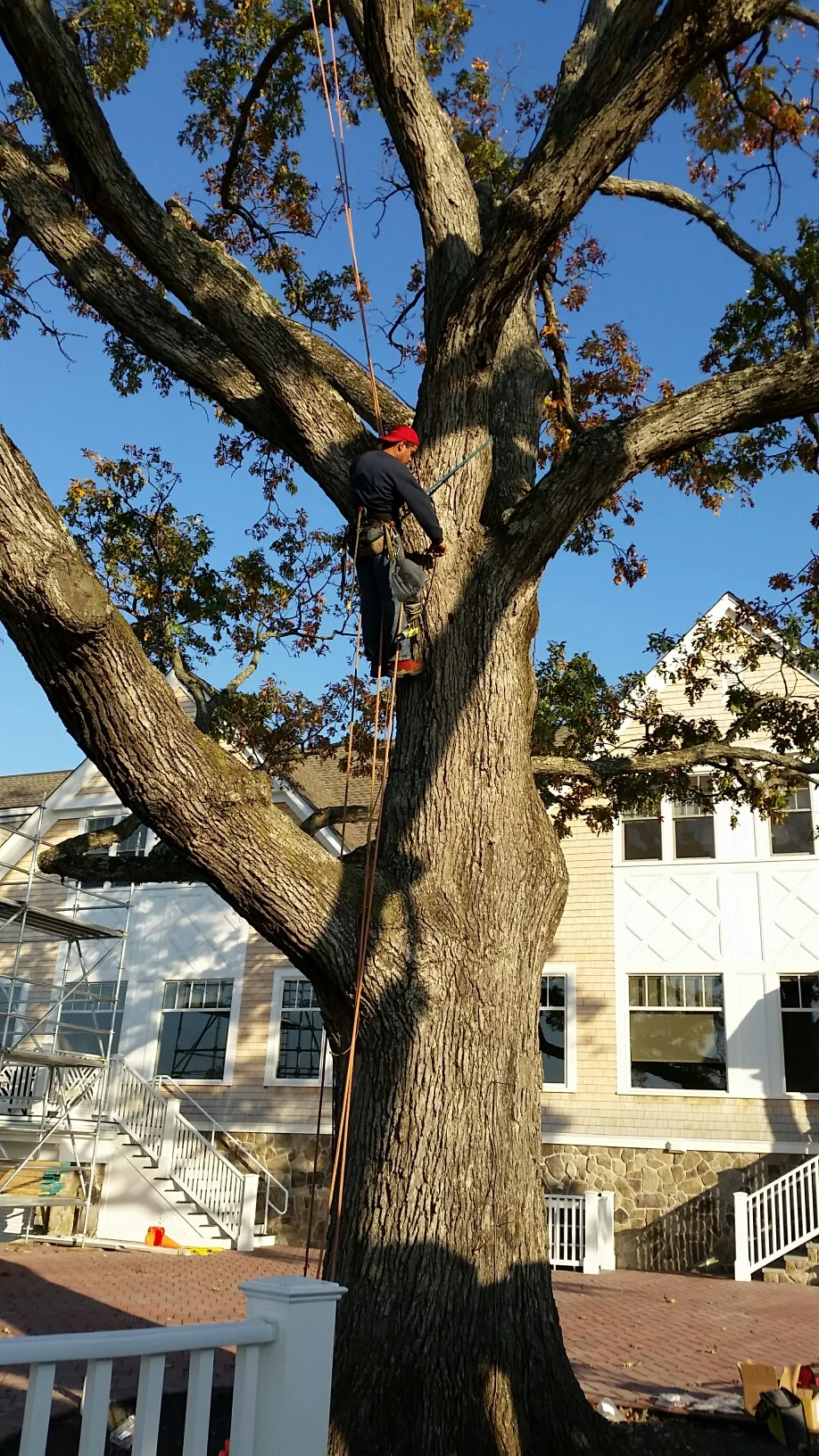 Canoe Brook Country Club - Patio Oak Lighting Installation