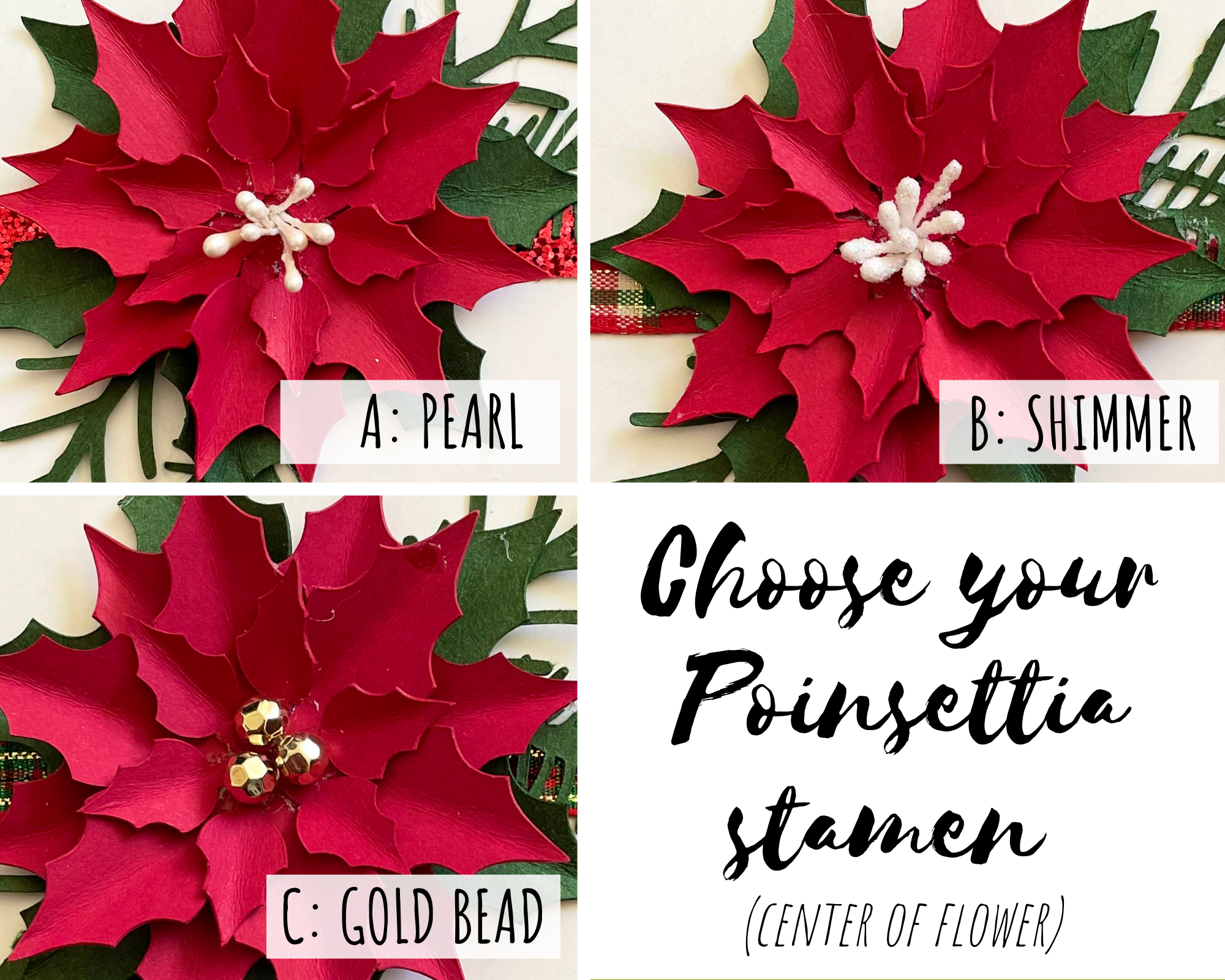 Poinsettia Custom Options.png