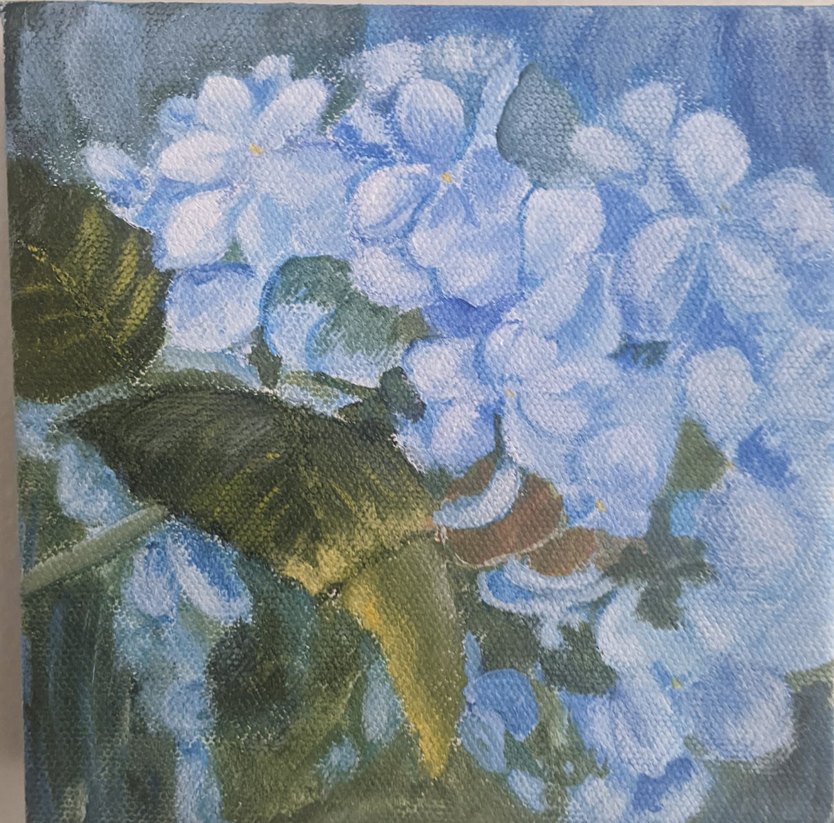 Screen Shot 2025-02-13 at 7.03.19 PM.png