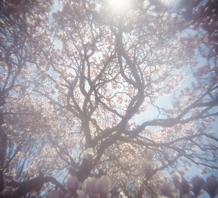 Screen Shot 2026-03-26 at 3.47.59 PM.png