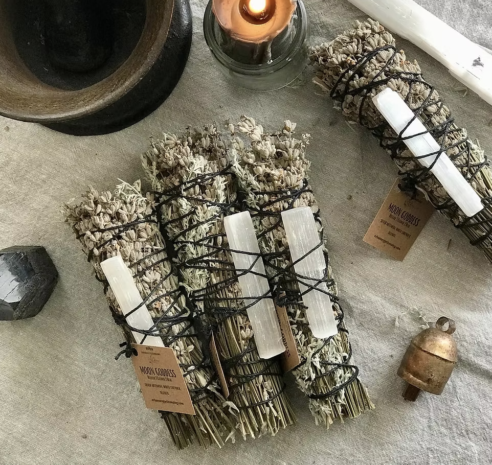 Screen Shot 2026-03-26 at 3.50.17 PM.png