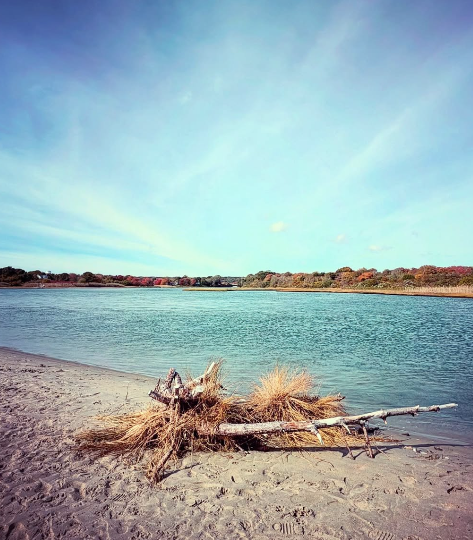 Screen Shot 2026-04-06 at 1.27.49 PM.png