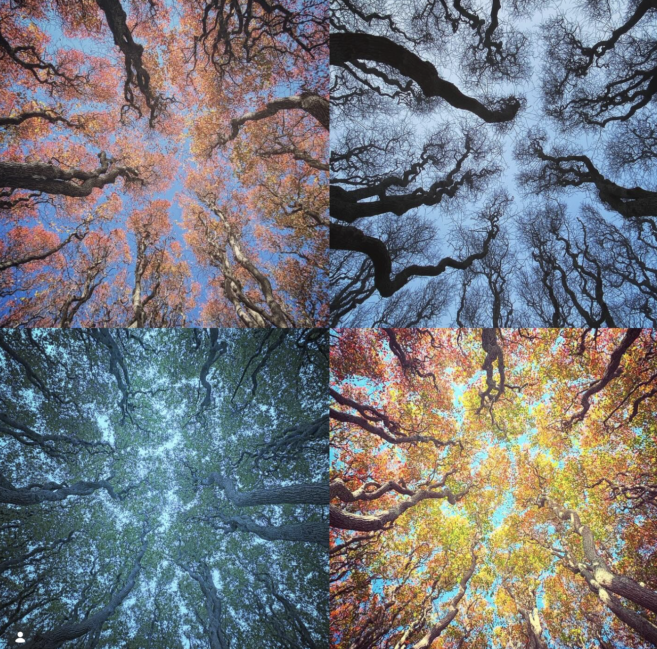 Screen Shot 2026-04-06 at 1.27.37 PM.png