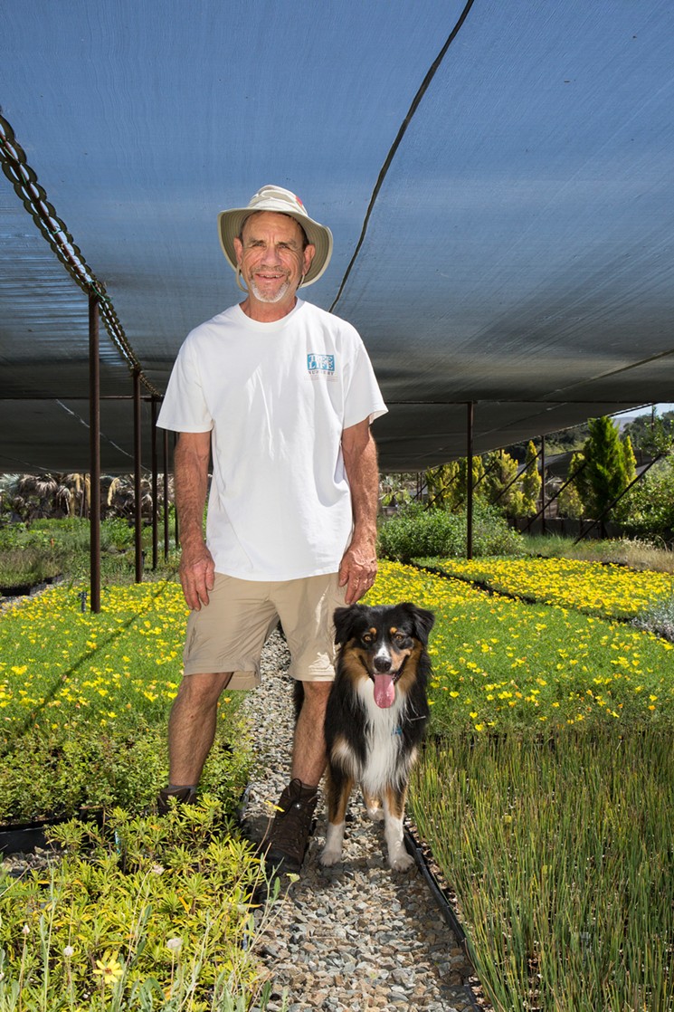   Southern California’s Secret Garden : Tree of Life Nursery 