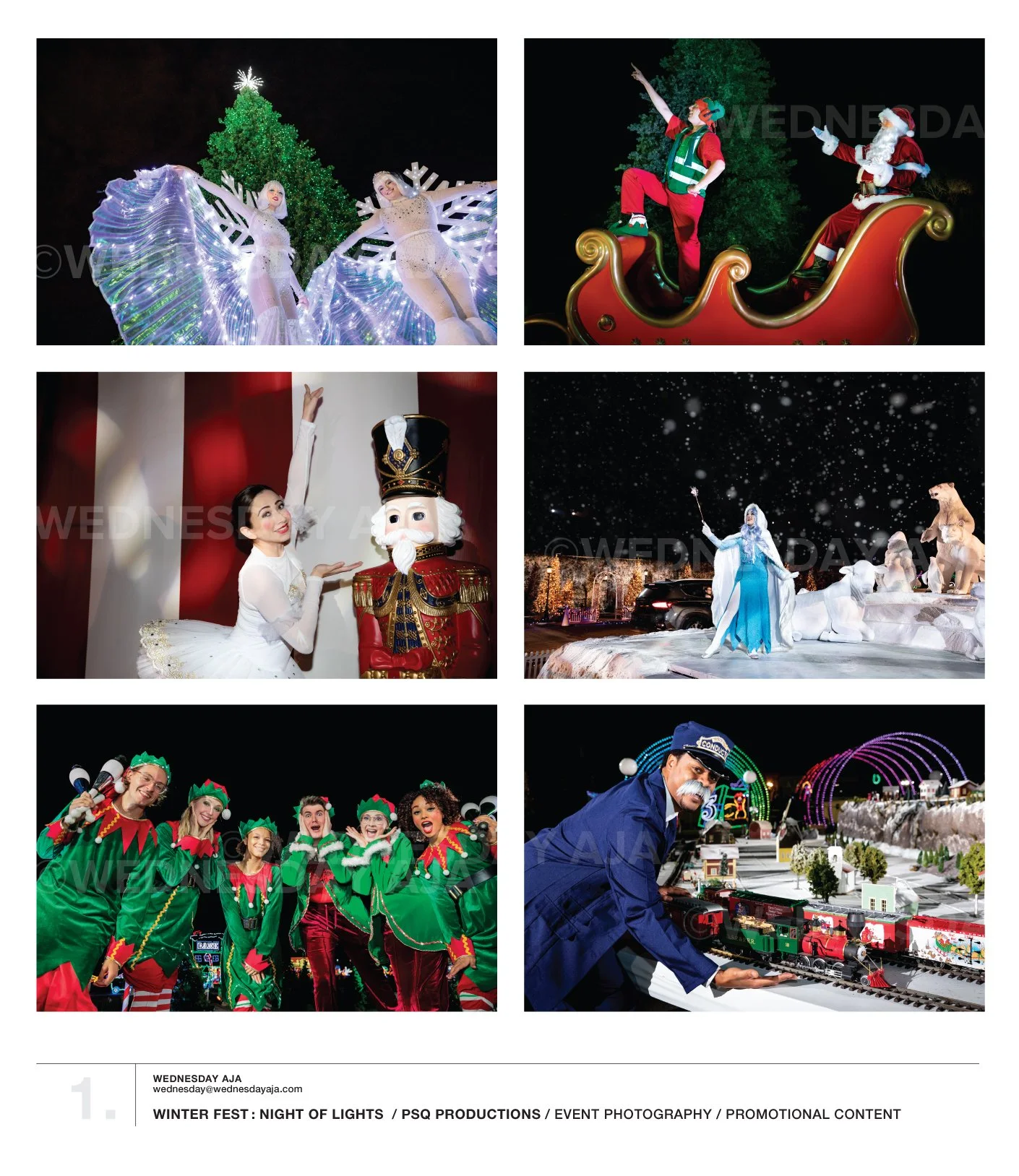    WINTER FEST: NIGHT OF LIGHTS  / PSQ PRODUCTIONS  