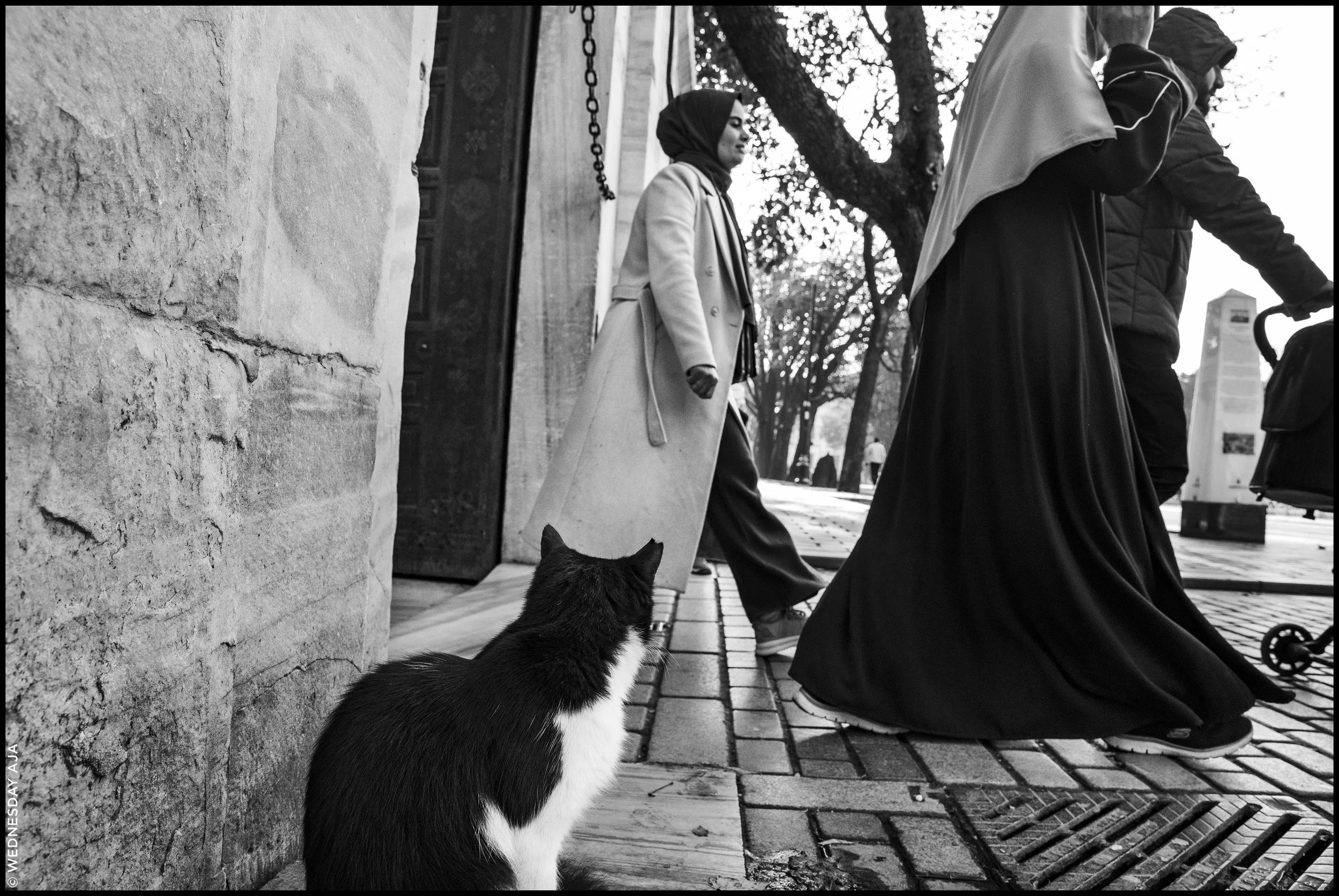 241119_ISTANBUL_WEDNESDAY_AJA-0088.jpg