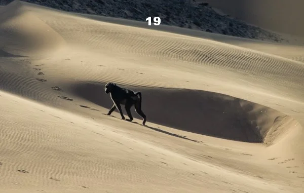 namibia1.jpg