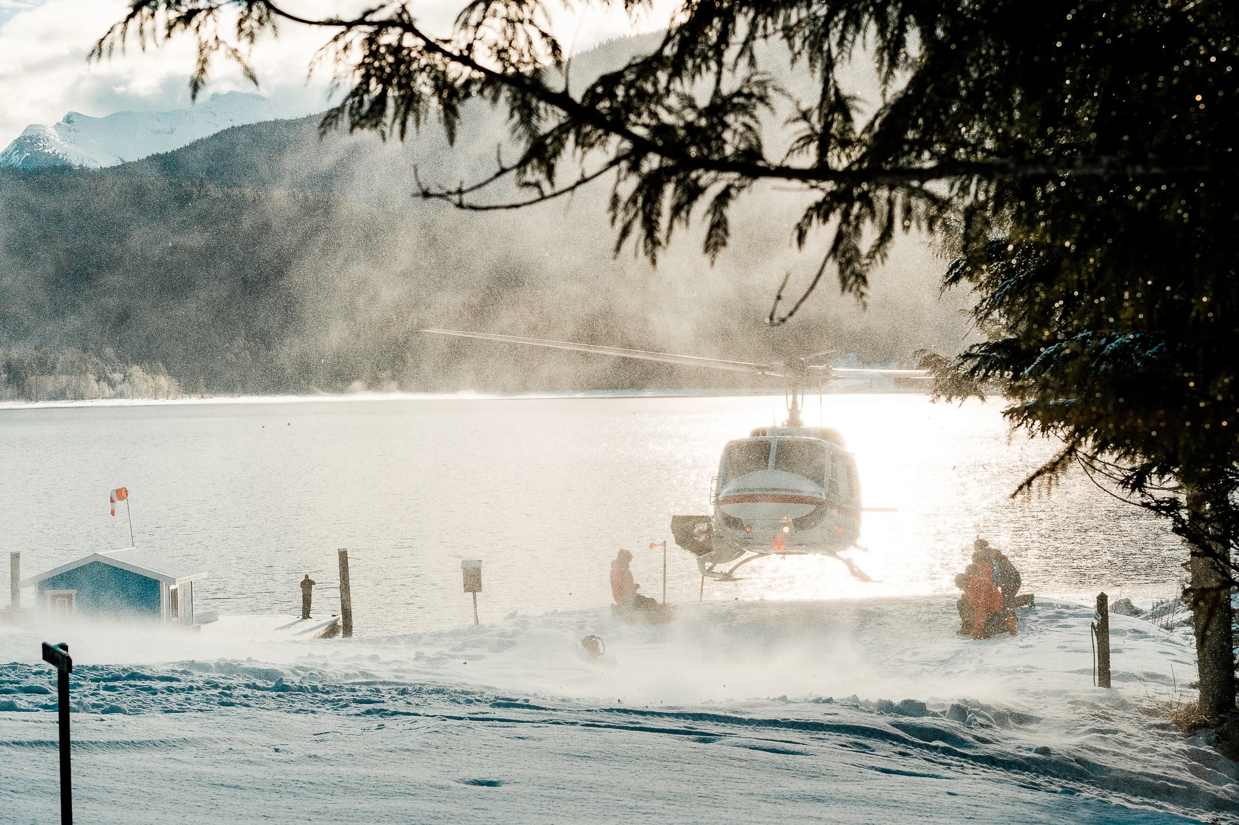 SleigherA_Silvertip-0054.jpg