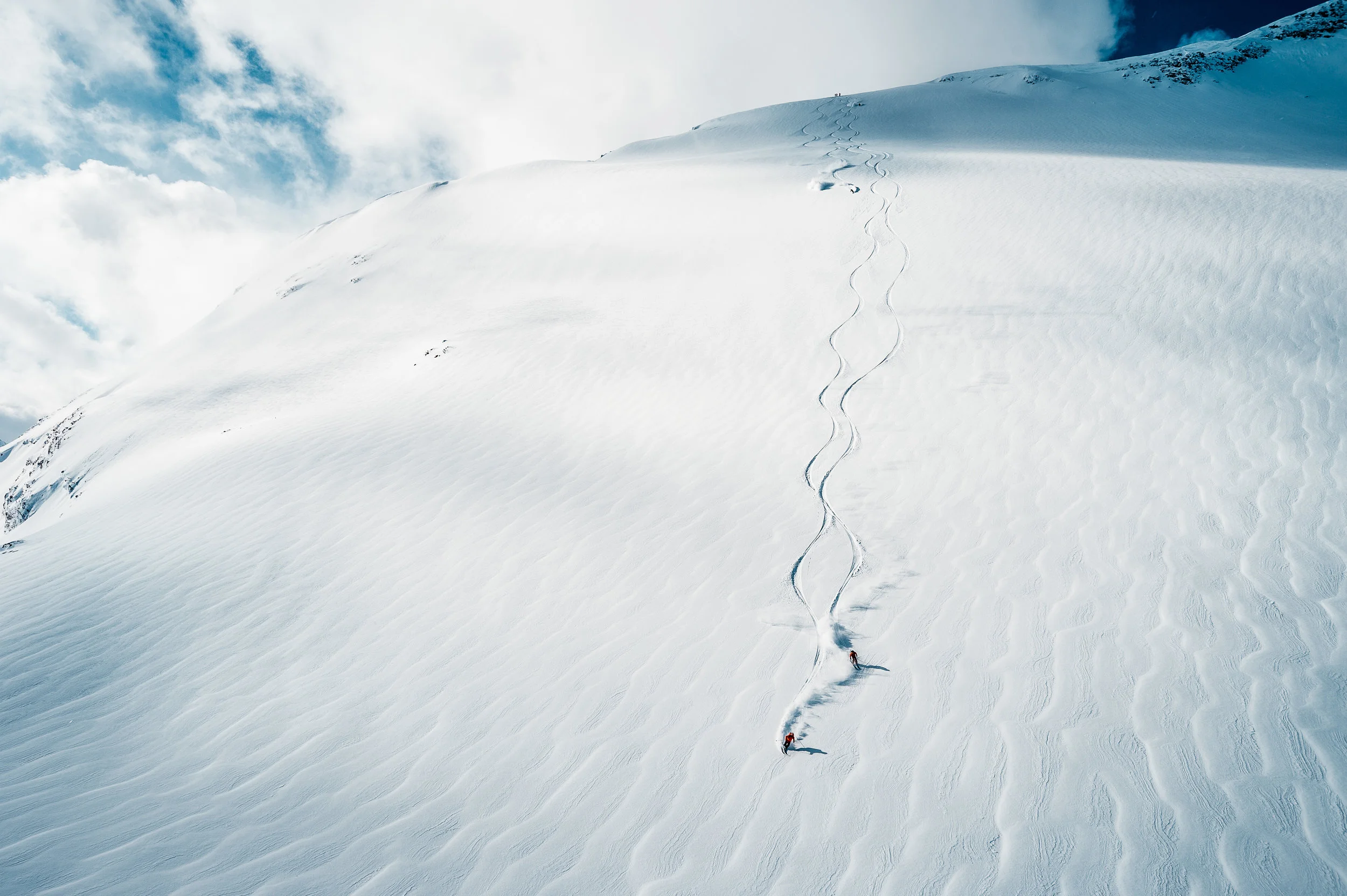 SleigherA_Silvertip-0279.jpg