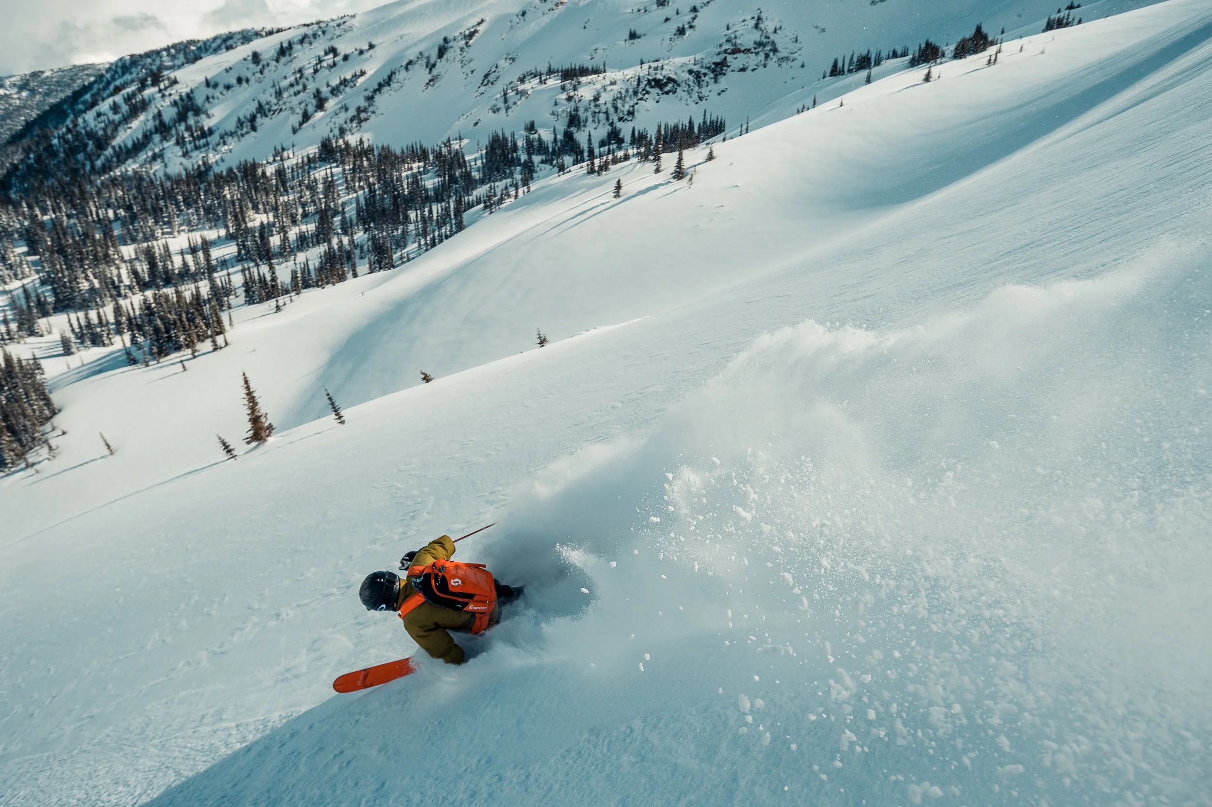 SleigherA_Silvertip-0362.jpg