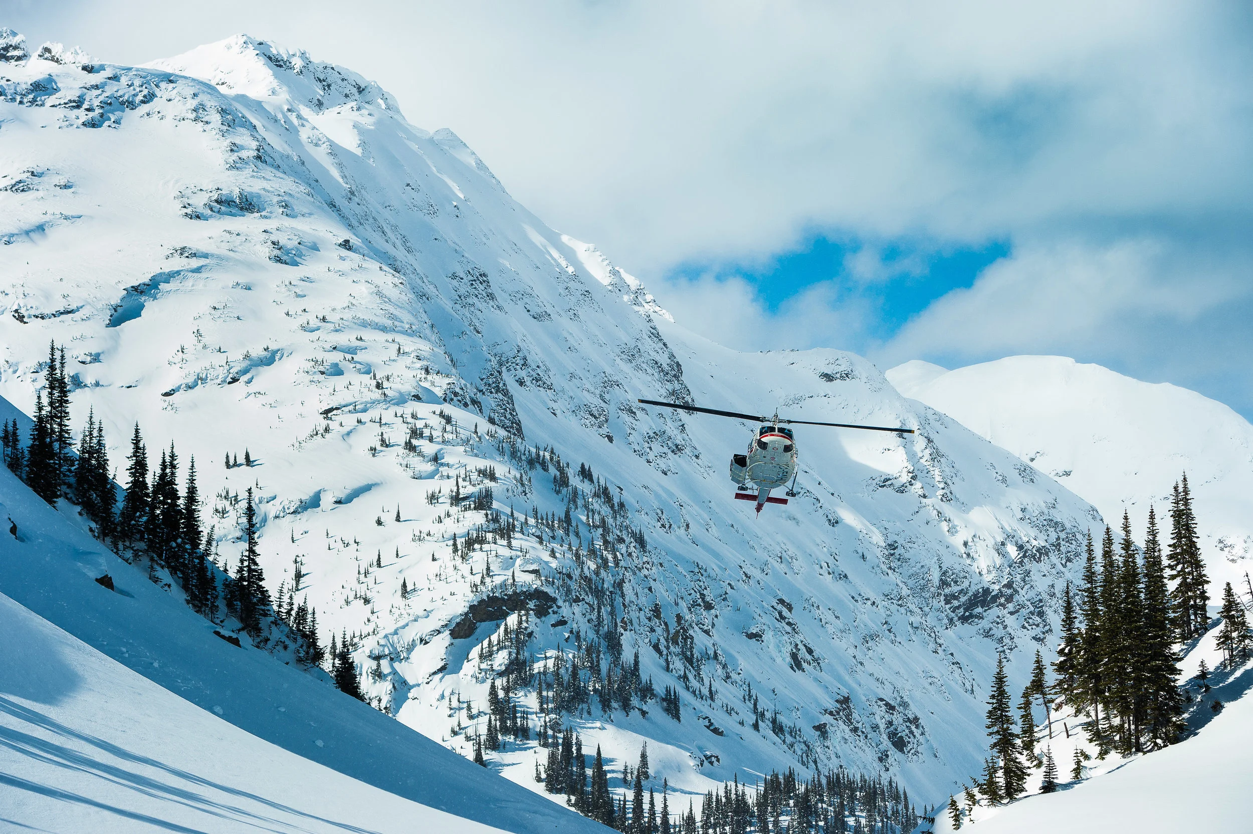 SleigherA_Silvertip-0644.jpg