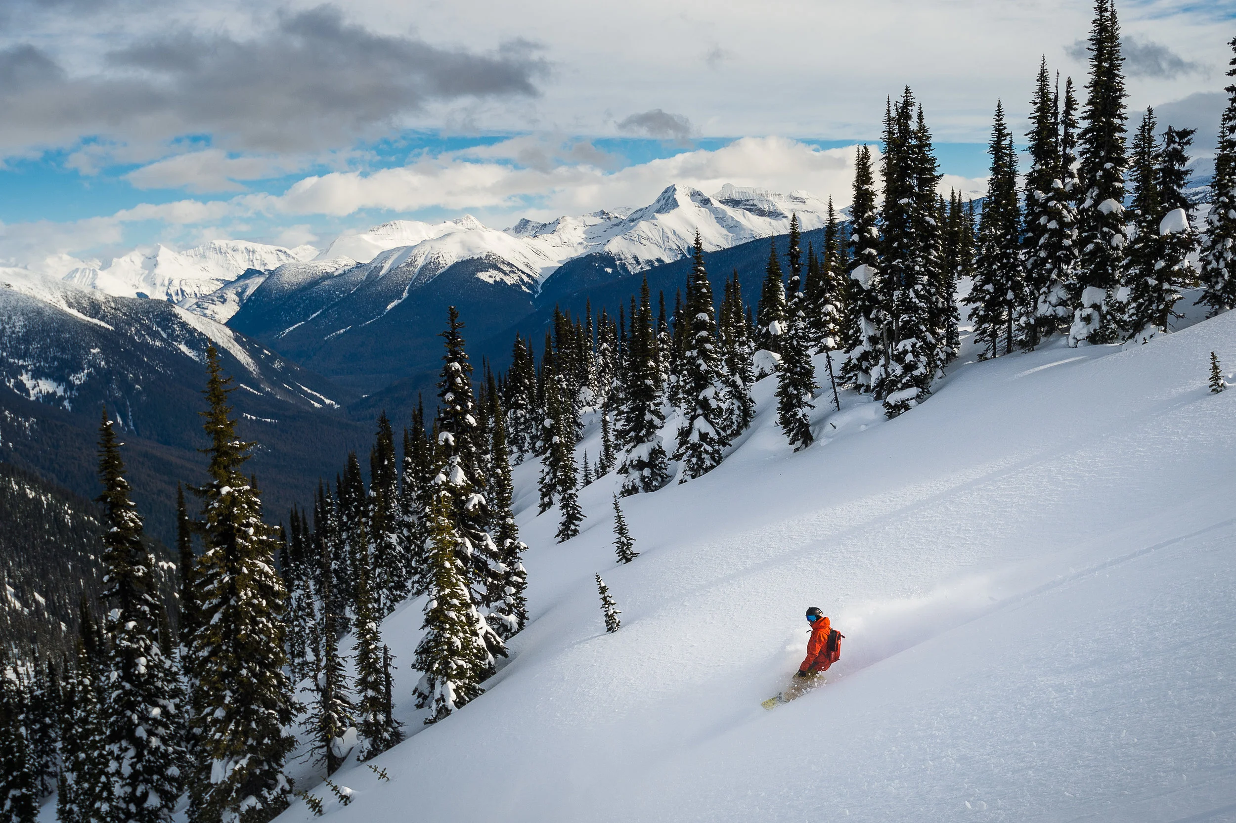 SleigherA_Silvertip-0688.jpg