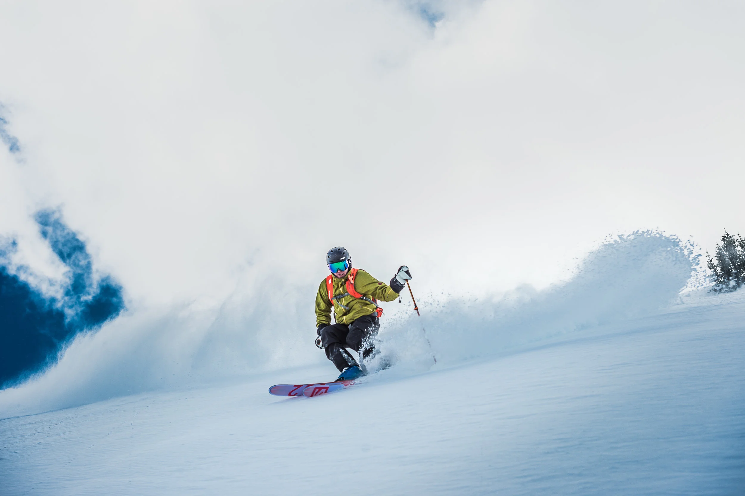 SleigherA_Silvertip-0698.jpg