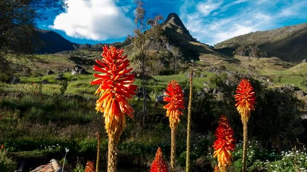 Photograph from Colombia