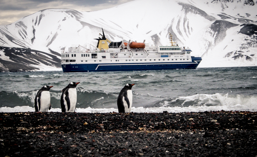 Penguins on shore with an expedition ship offshore