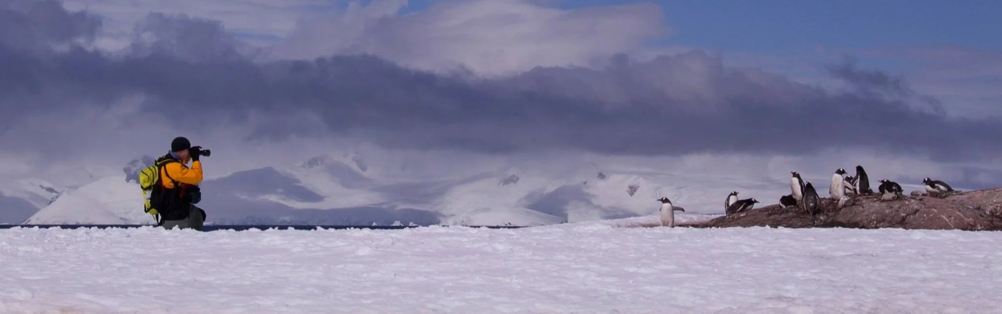 Mark Sissons photographing penguins in Antarctica