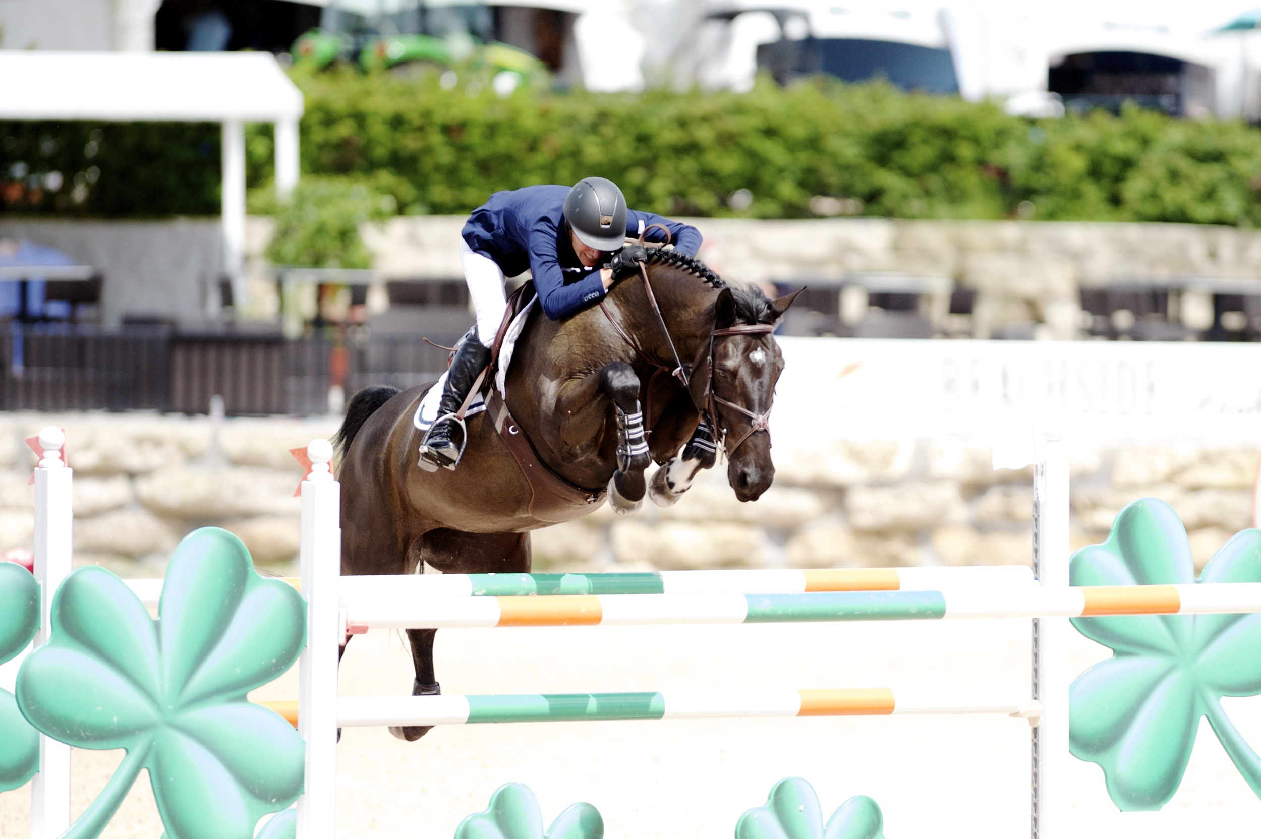 Molly Ashe and Balous Day Date at the Winter Equestrian Festival 