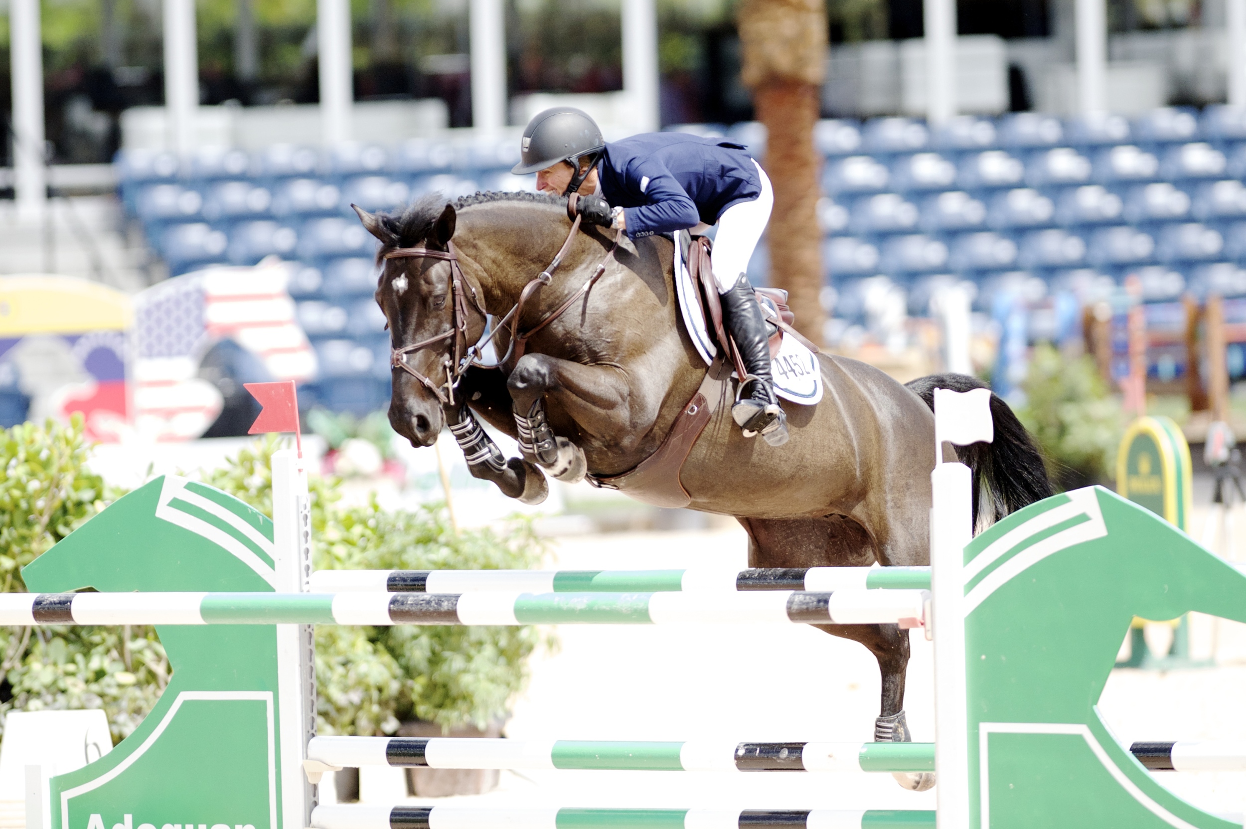 Molly Ashe and Balous Day Date at the Winter Equestrian Festival 