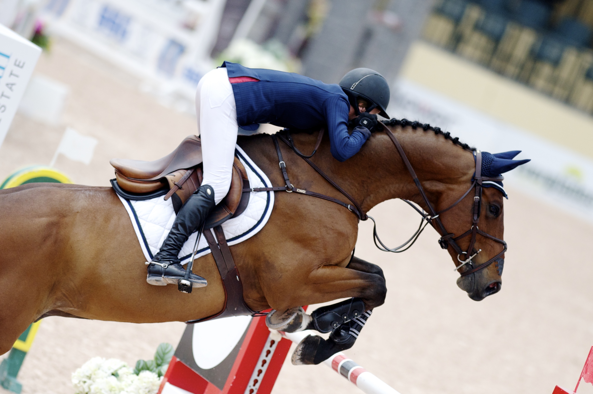 Molly Ashe and Astakkato finished 6th in today's $20,000 Adequan 7 YO Classic II