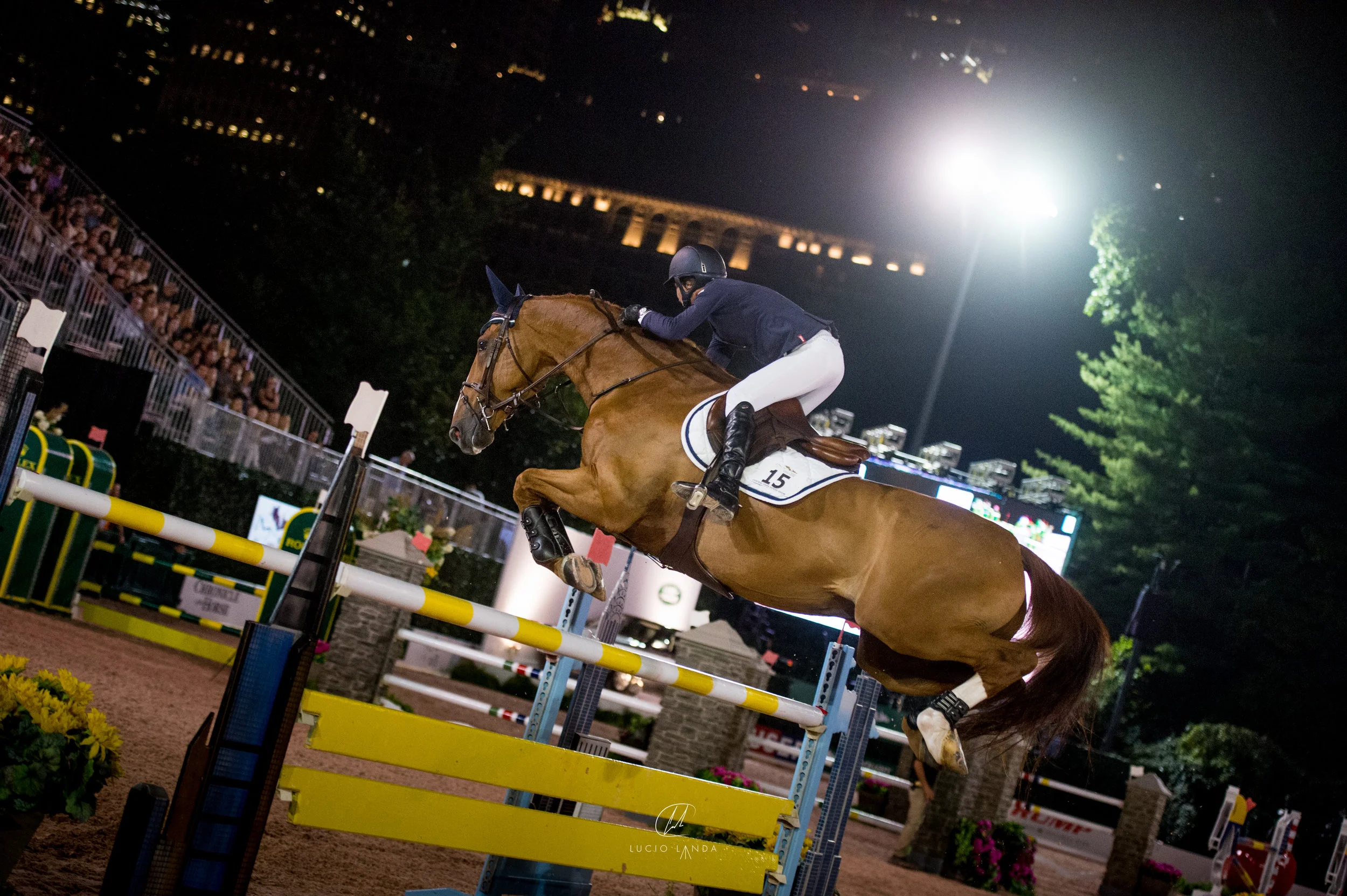 Molly and PJotter Van De Zonnehoeve at Central Park Horse Show