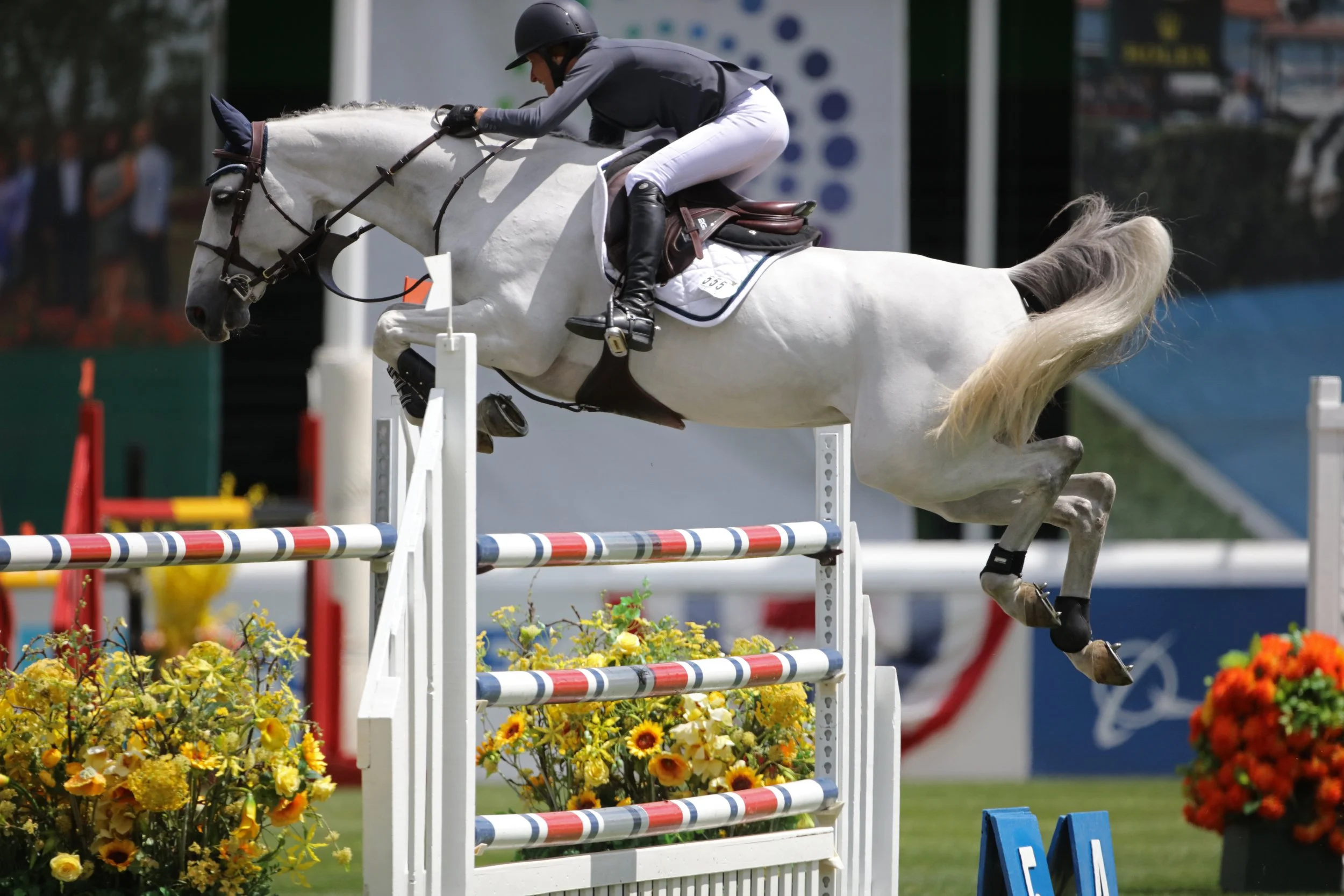 Molly Ashe and D’Arnita at American Gold Cup