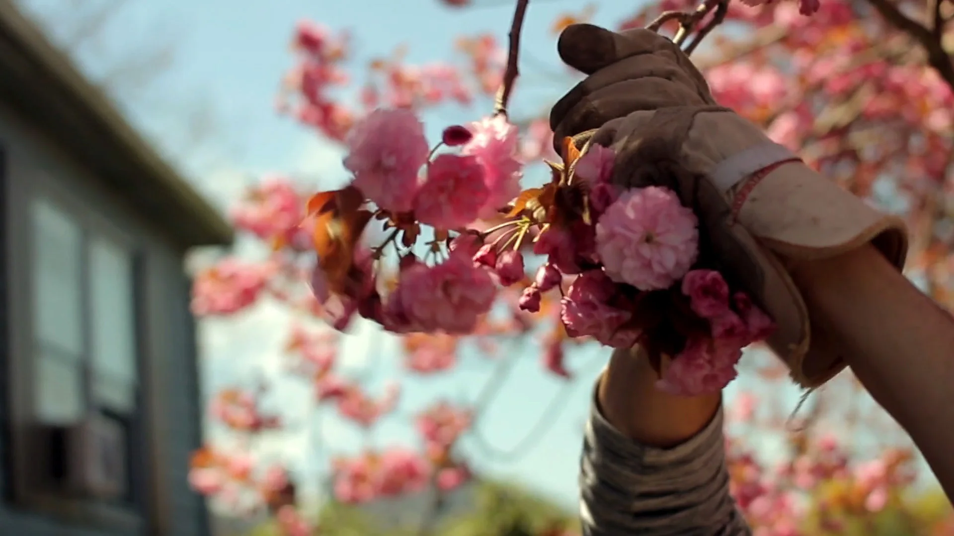 Goodbye Enzo (1).mp4.00_02_40_18.Still001.jpg