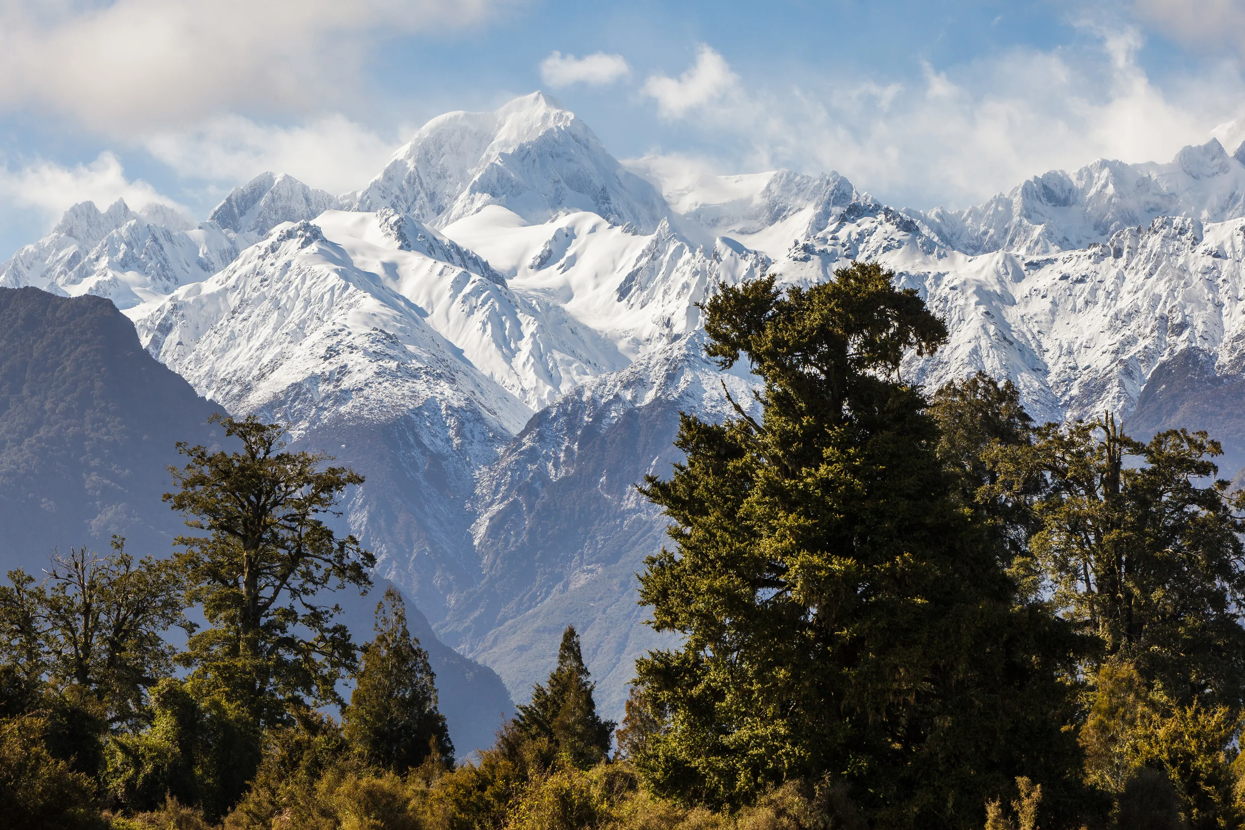mount tasman