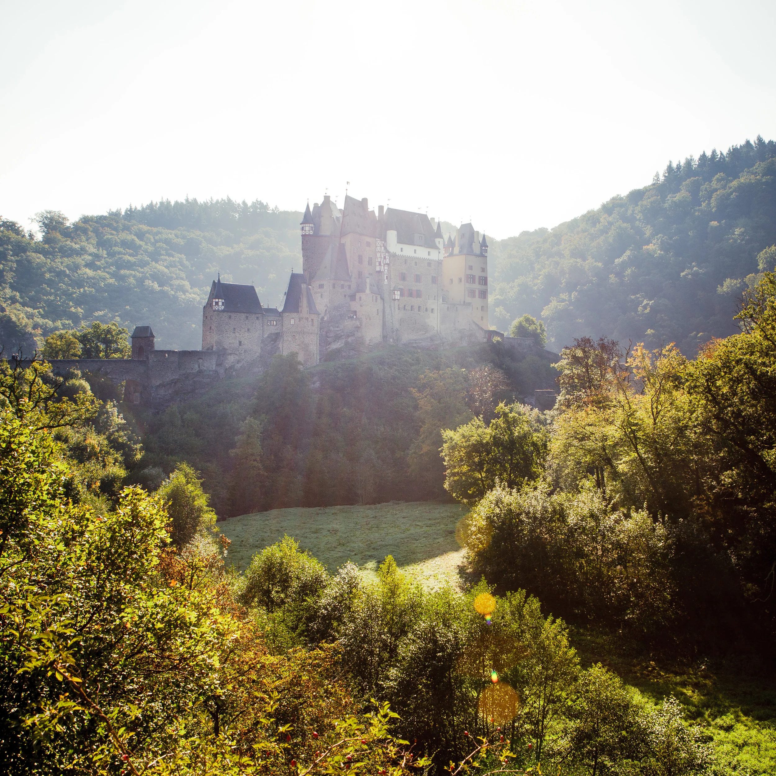 burg elz