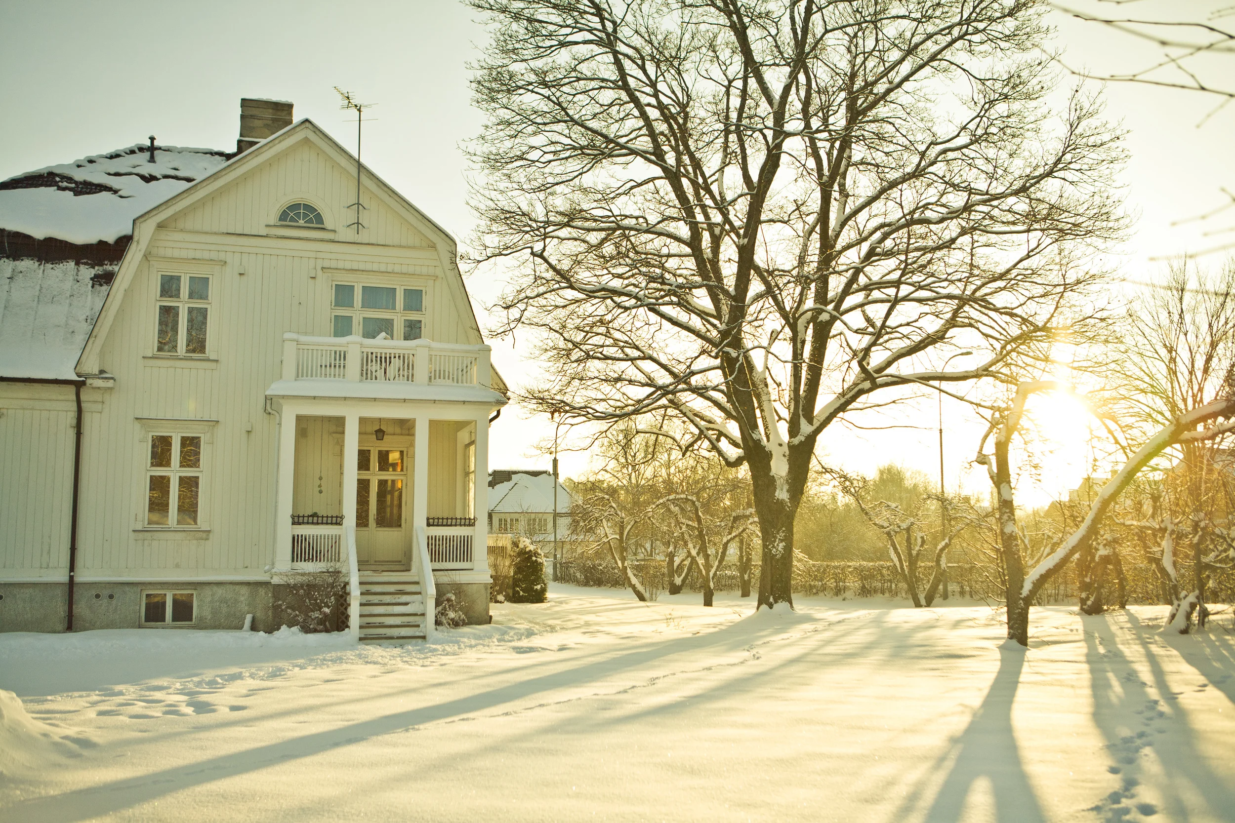 winter wonderland