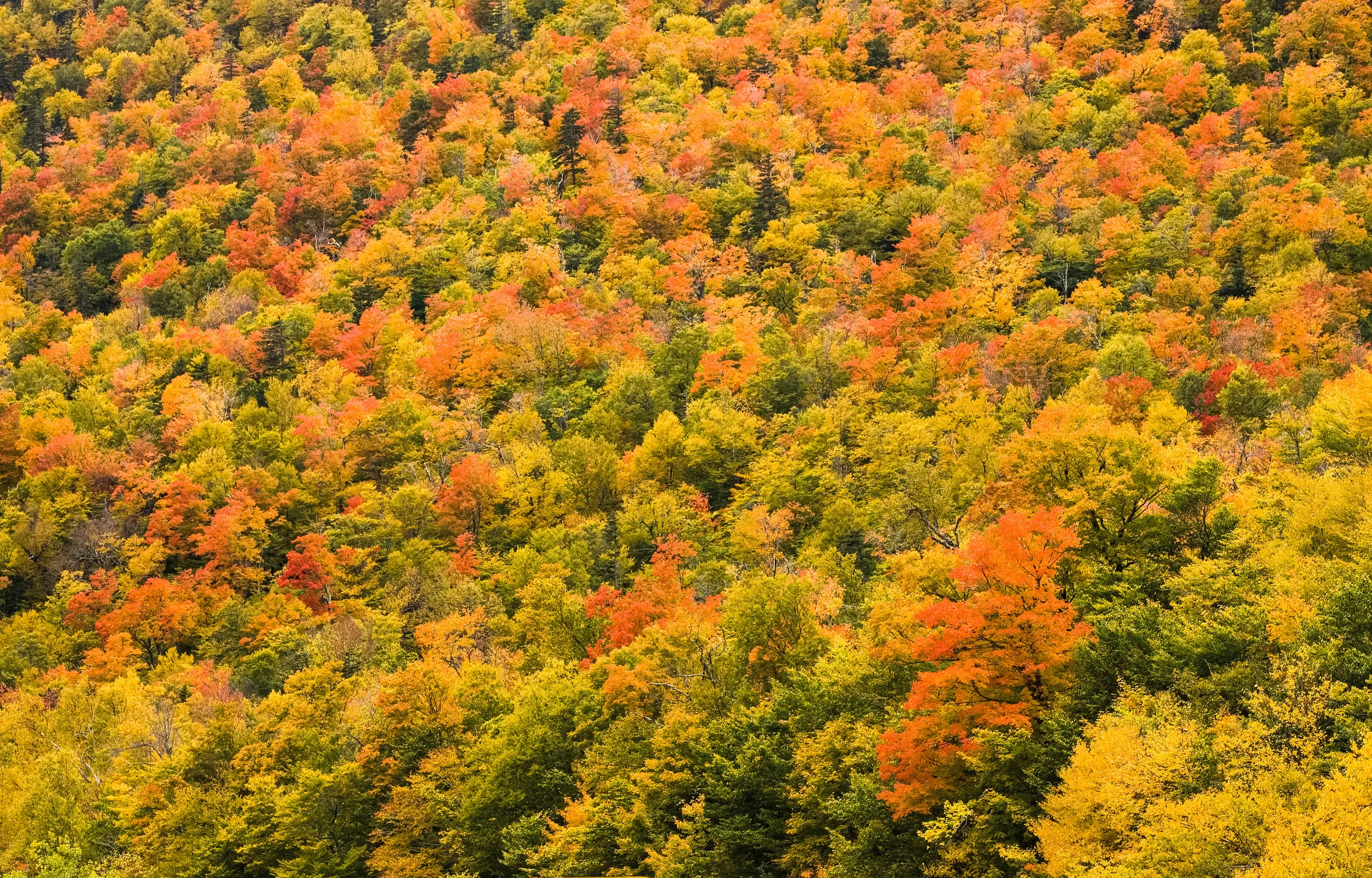 herbst peak