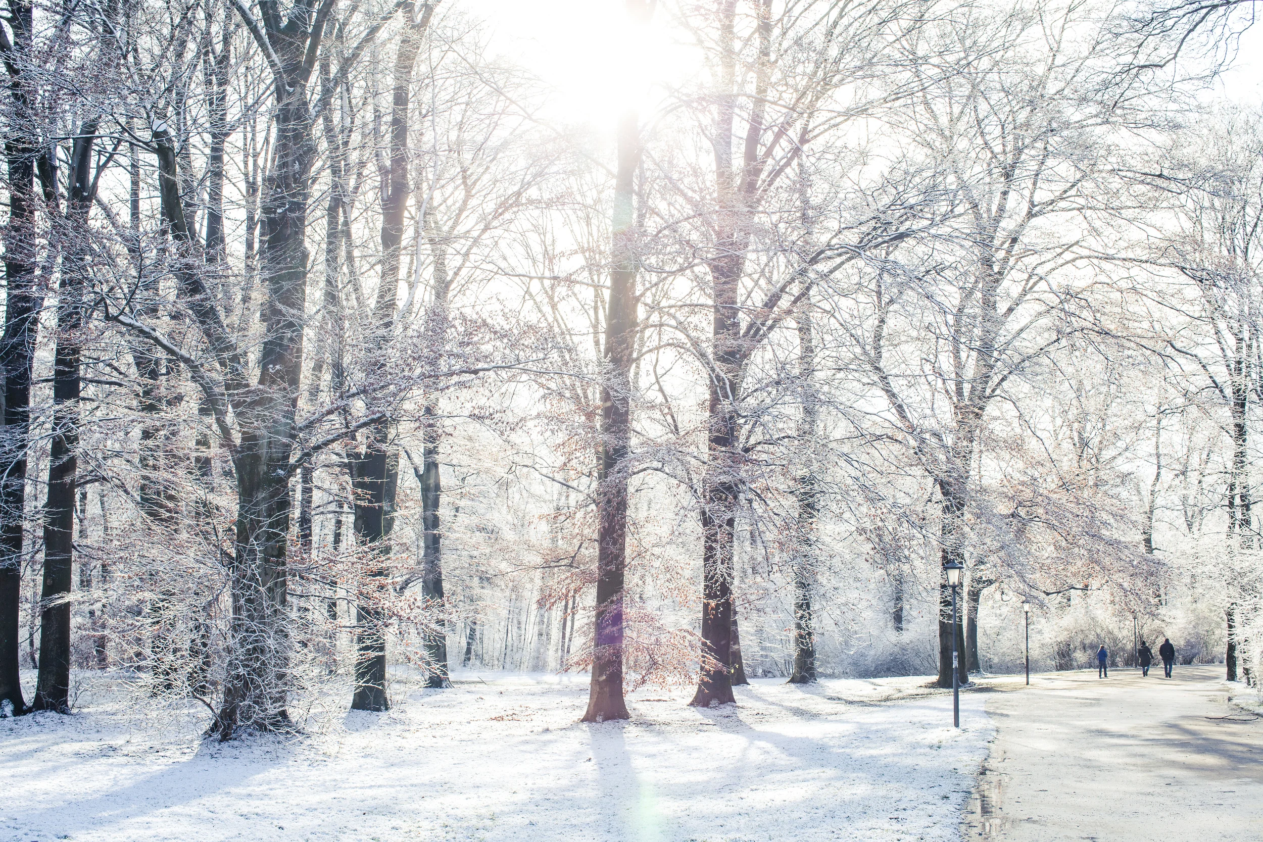 winterspaziergang