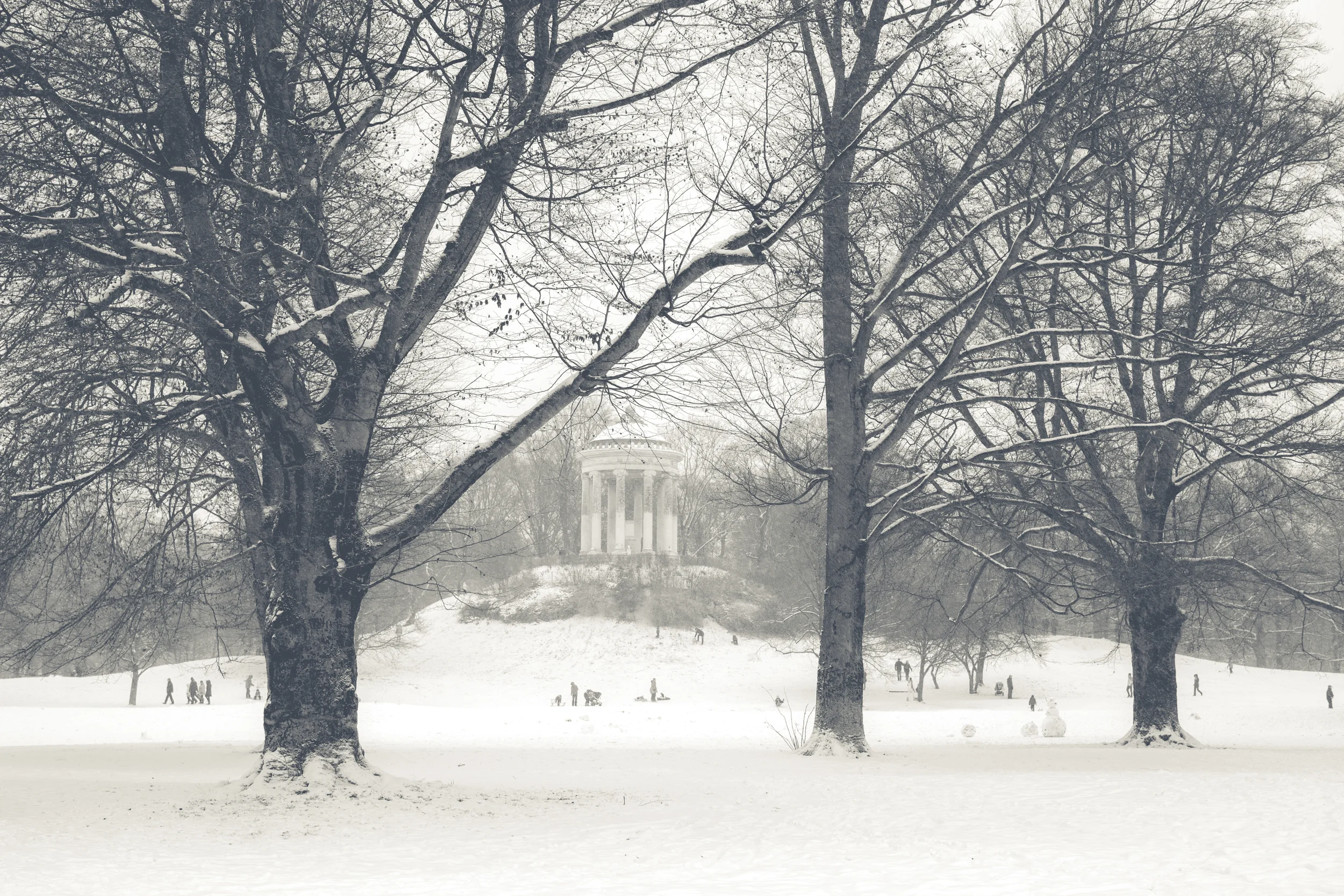 winter im park