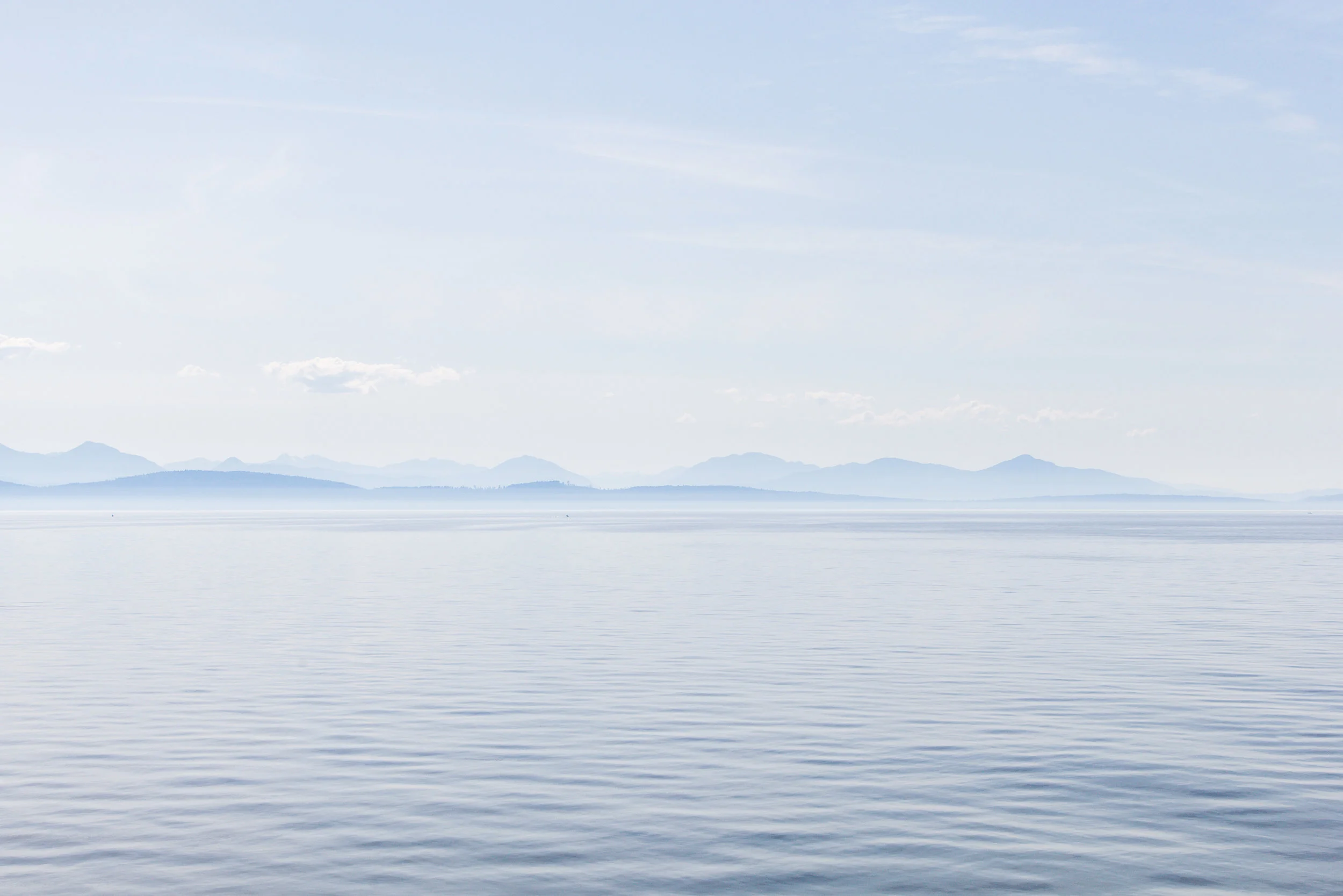 die insel im dunst