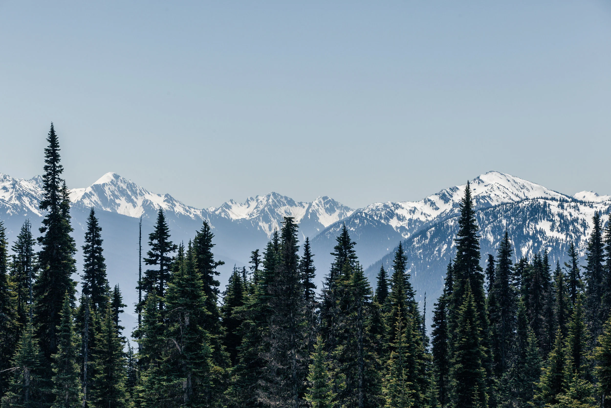 hurricane ridge