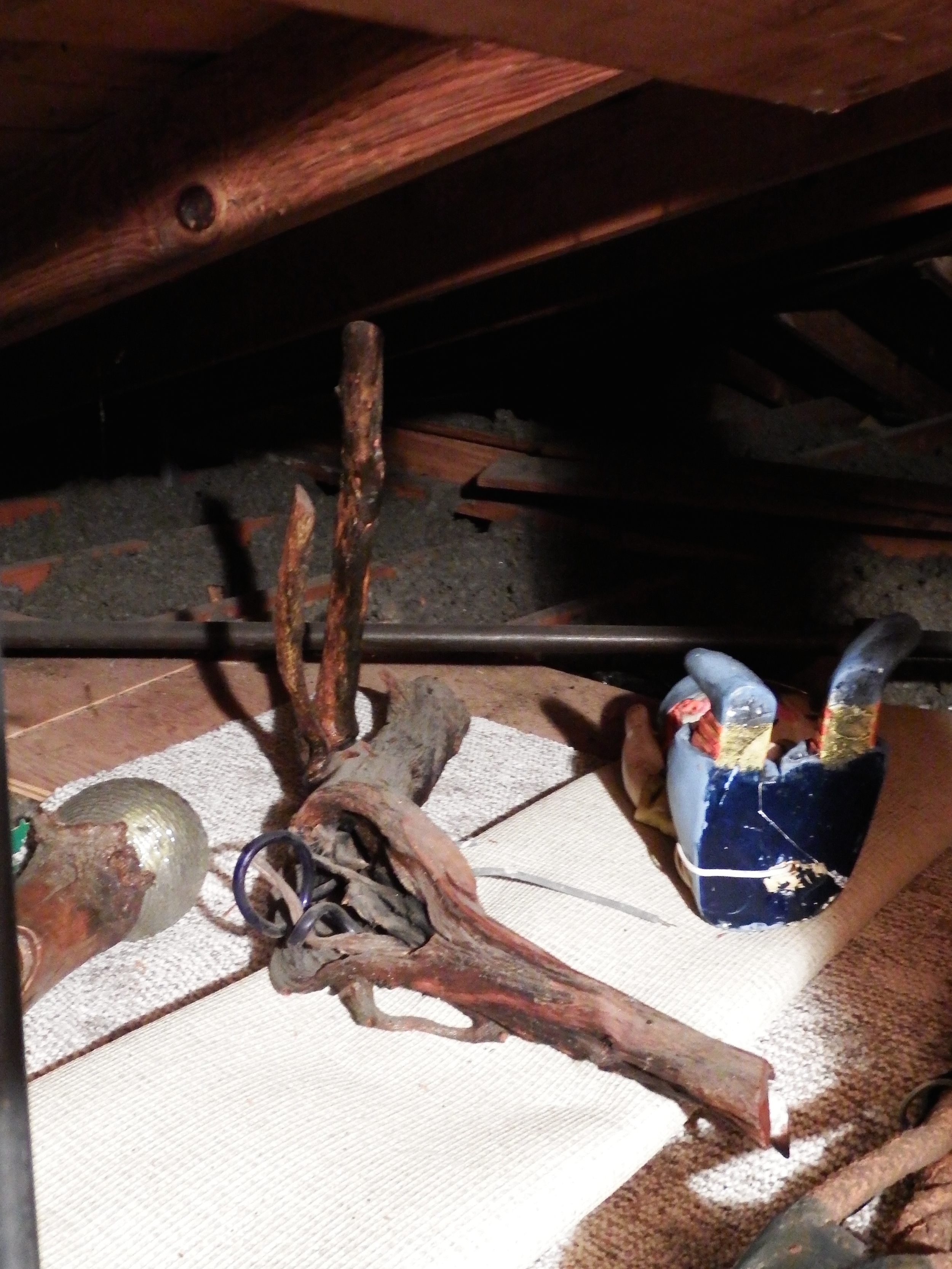 DSCF3769.jpg